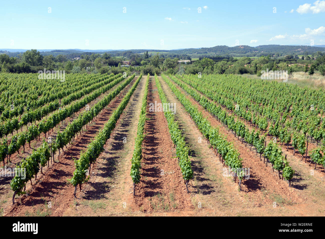 Côtes du Luberon vignobles ou des vignobles de la vallée du Calavon Bonnieux Luberon Provence France Banque D'Images