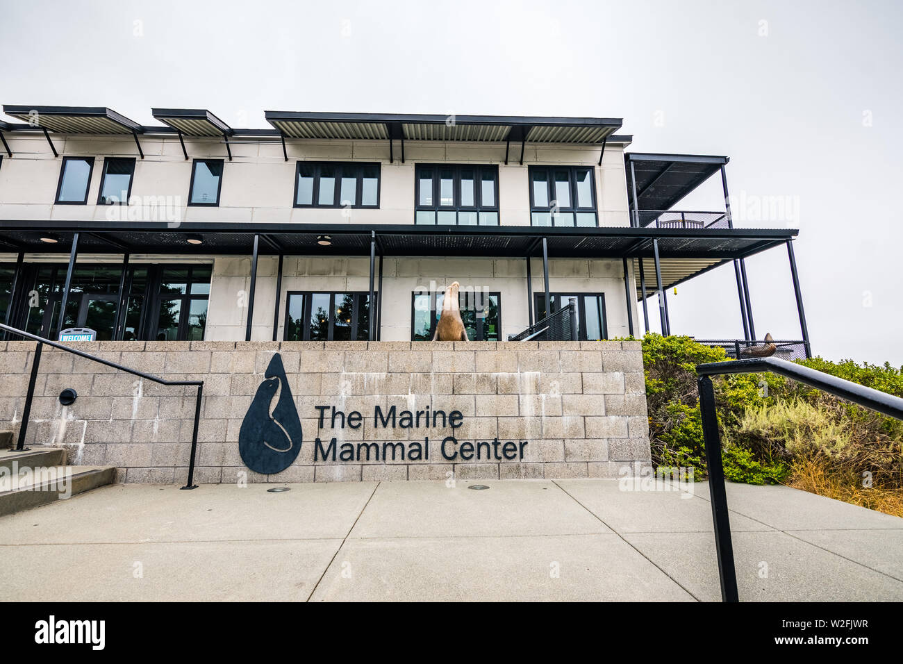 4 juillet 2019 Sausalito / CA / USA - The Marine Mammal Center situé à Marin Headlands dans North San Francisco bay ; le centre est le sauvetage, la réhabilitation Banque D'Images
