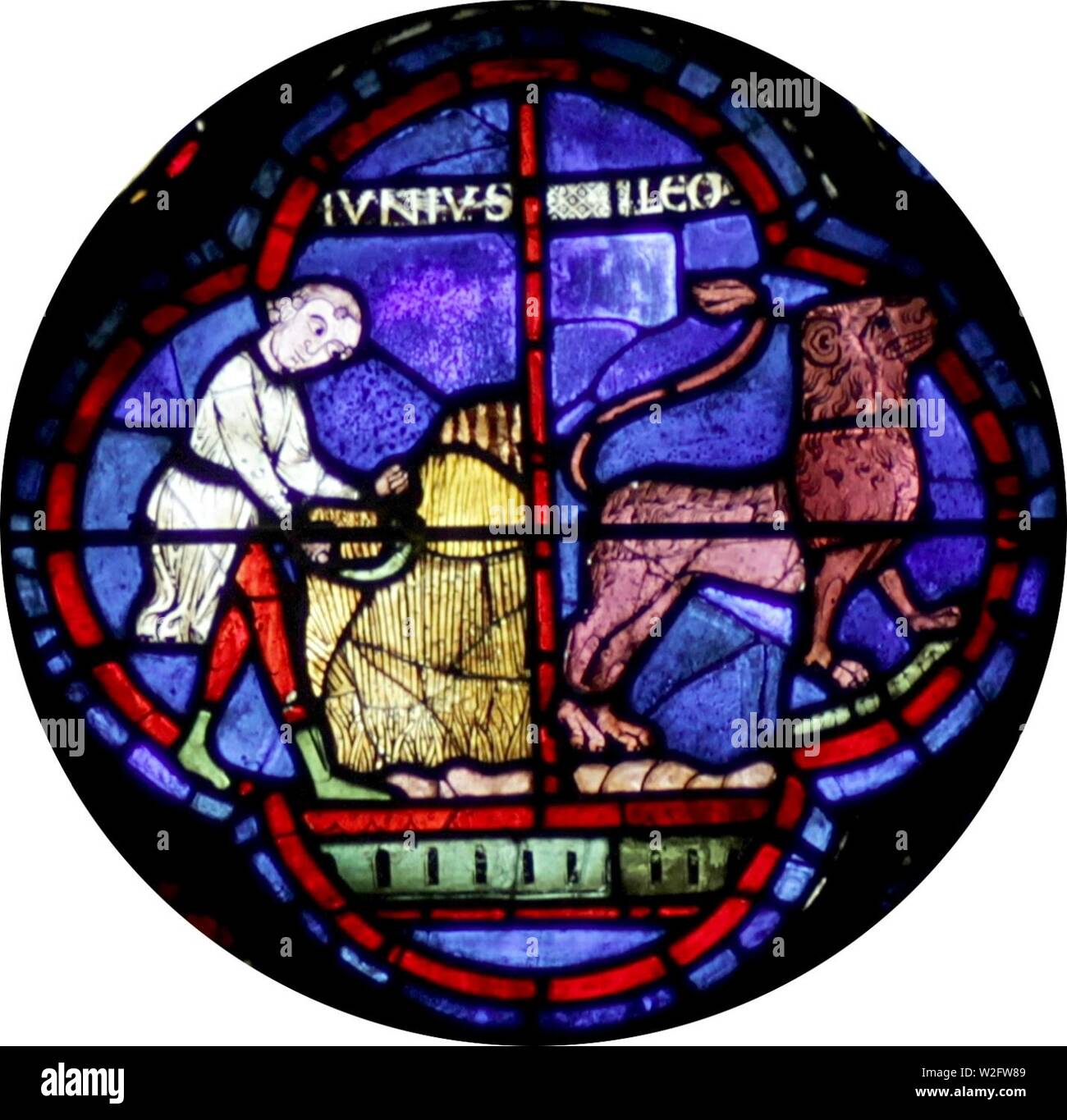 Chartres-028-g - 7 Juillet-Lion. Banque D'Images