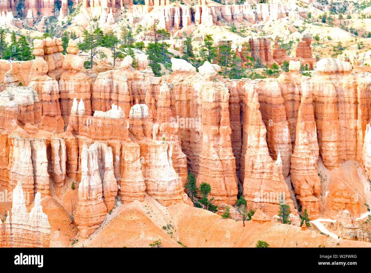 Coucher du soleil à Bryce Canyon National Park, Utah, USA Banque D'Images