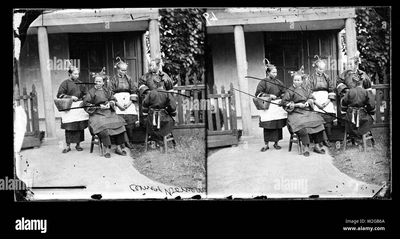 Les travailleurs des plantations de thé chinoise des femmes 1871. Banque D'Images