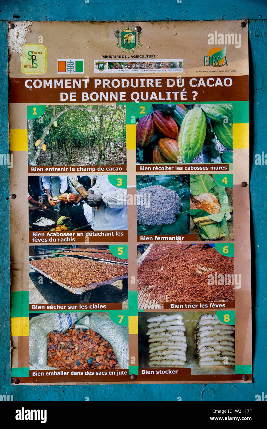 Poster offrant des conseils (en français) sur une production de cacao dans Abidjan, Côte d'Ivoire. Banque D'Images