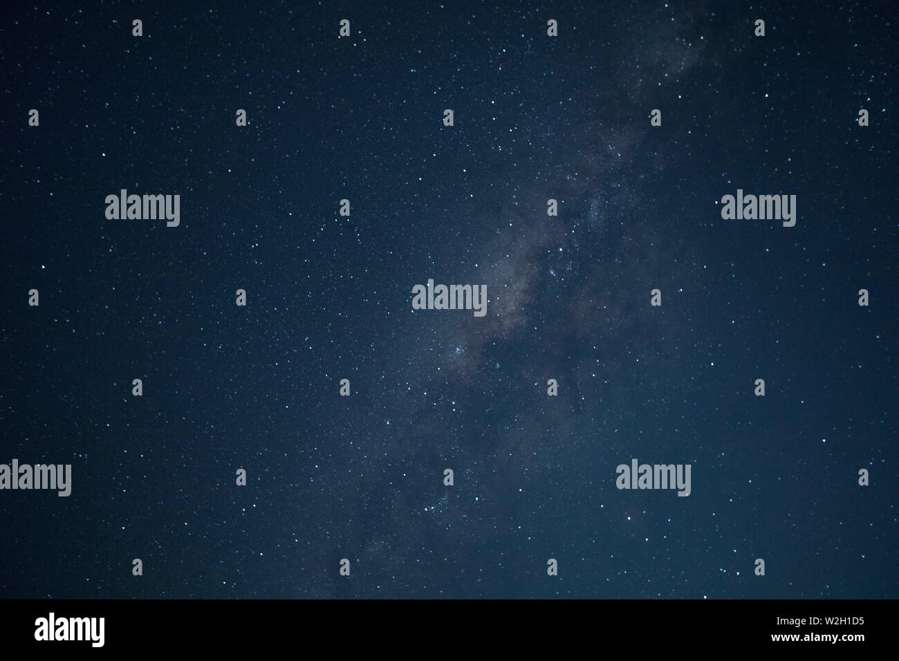 Mana Pools National Park. Voie lactée. Le Zimbabwe. Banque D'Images