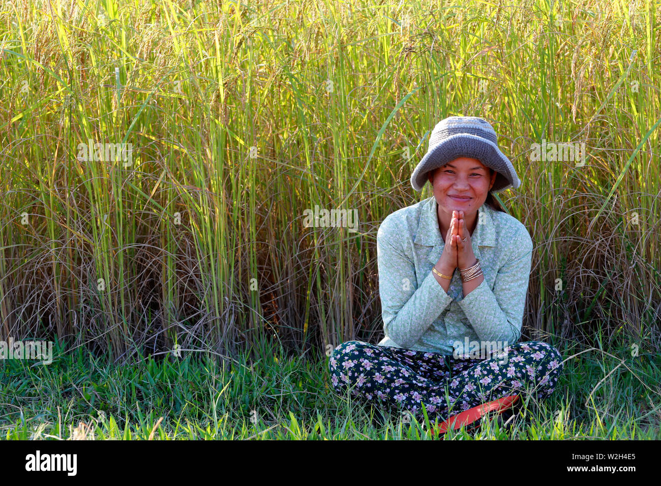 Femme en prière dans le riz paddy. Kep. Le Cambodge. Banque D'Images