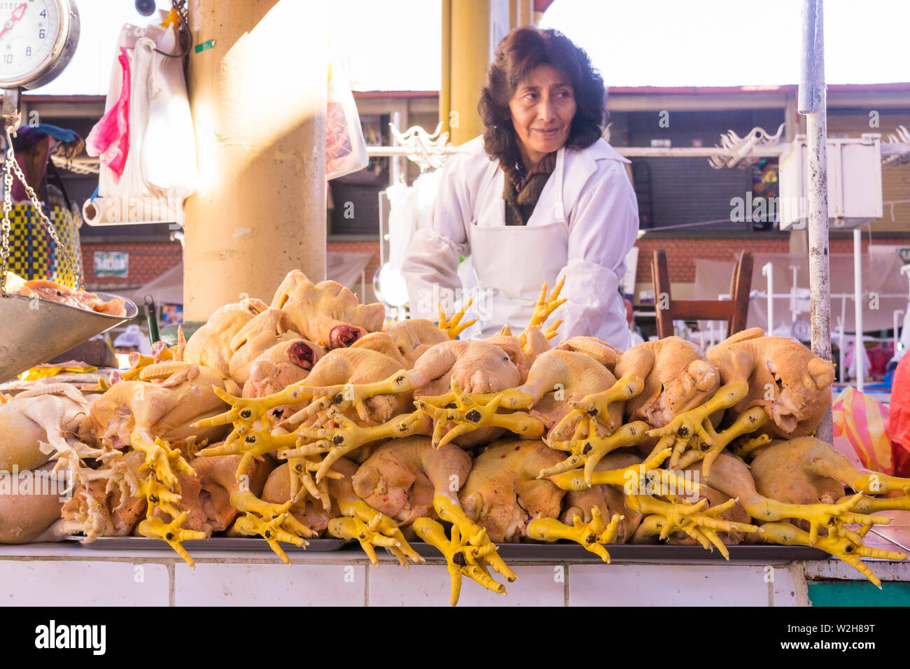 Marché de San Camilo, Arequipa - une femme vendant du poulet entier au marché San Camilo à Arequipa, Pérou, Amérique du Sud. Banque D'Images