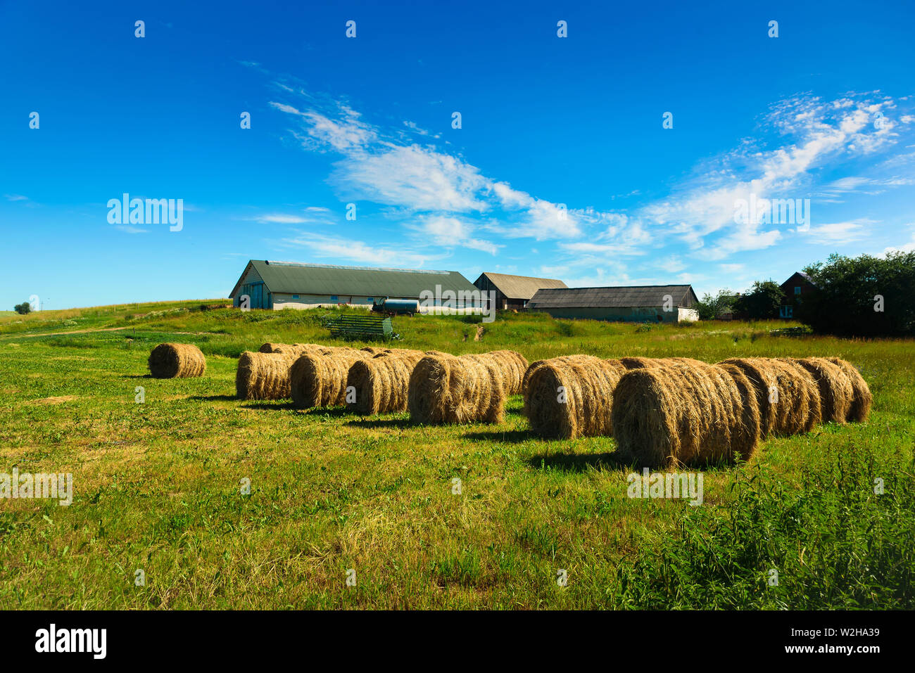 Meules sur champ vert à l'été en Pologne. Un ciel parfait, maison de ferme sur l'arrière-plan Banque D'Images