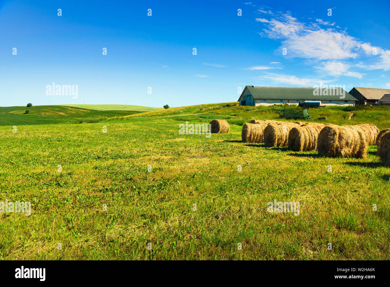 Meules sur champ vert à l'été en Pologne. Un ciel parfait, maison de ferme sur l'arrière-plan Banque D'Images