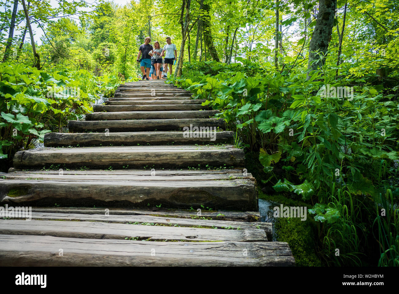 Les jeunes gens marchant sur la promenade en bois au-dessus de petites cascades et cachés de l'eau au parc national des Lacs de Plitvice, Croatie Banque D'Images