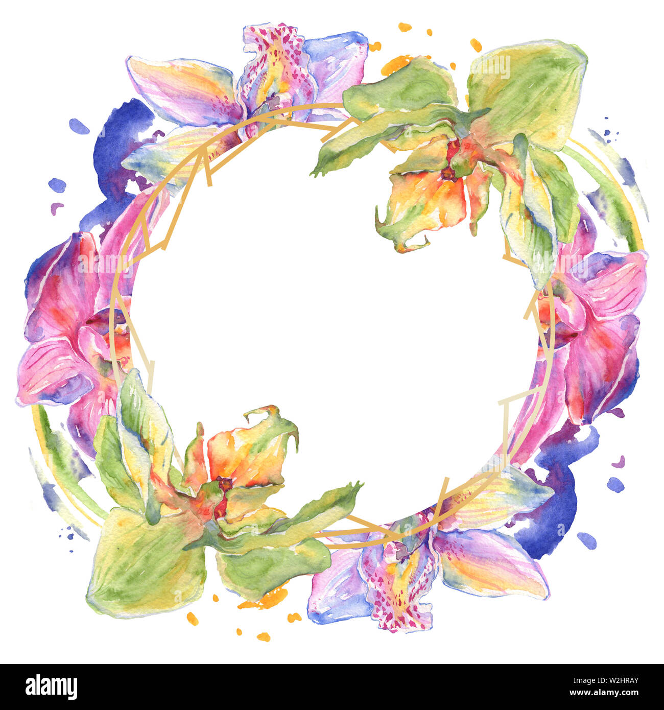 Floral fleurs orchidées botaniques. Lame de ressort sauvages isolés de fleurs sauvages. Contexte aquarelle illustration set. Aquarelle Dessin aquarelle de mode. Banque D'Images