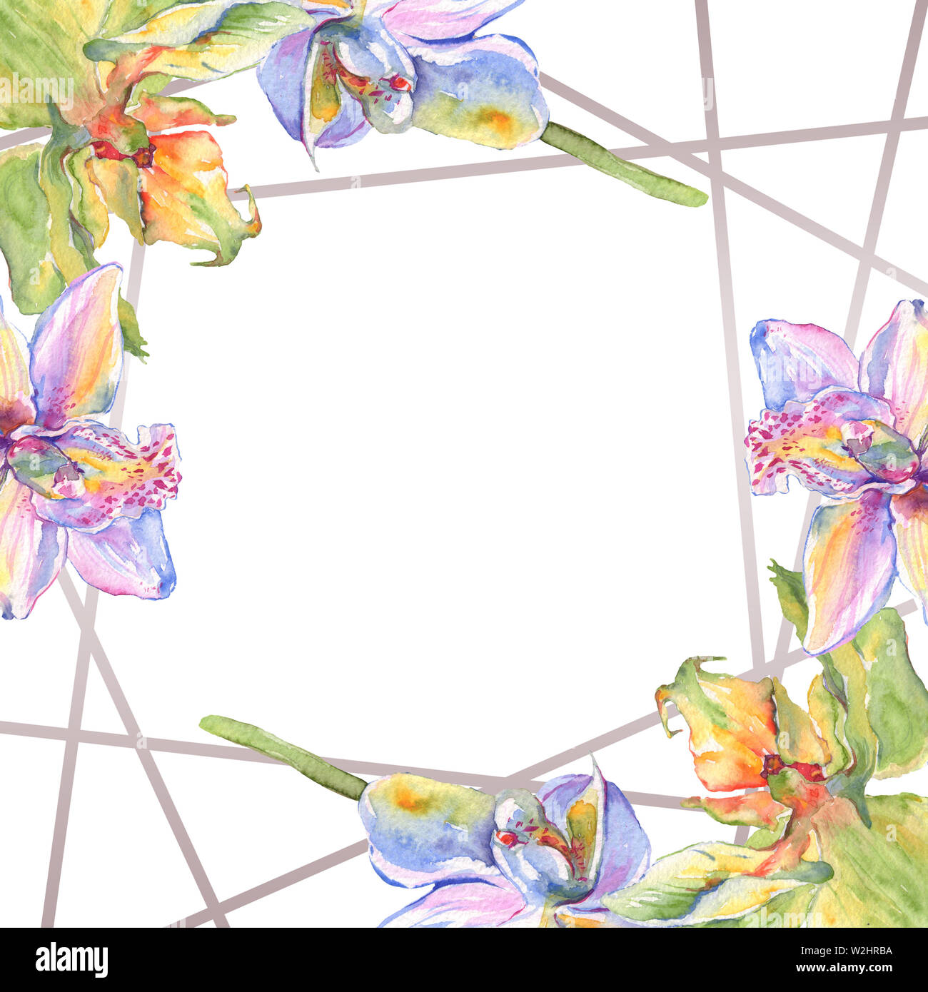 Floral fleurs orchidées botaniques. Lame de ressort sauvages isolés de fleurs sauvages. Contexte aquarelle illustration set. Aquarelle Dessin aquarelle de mode. Banque D'Images