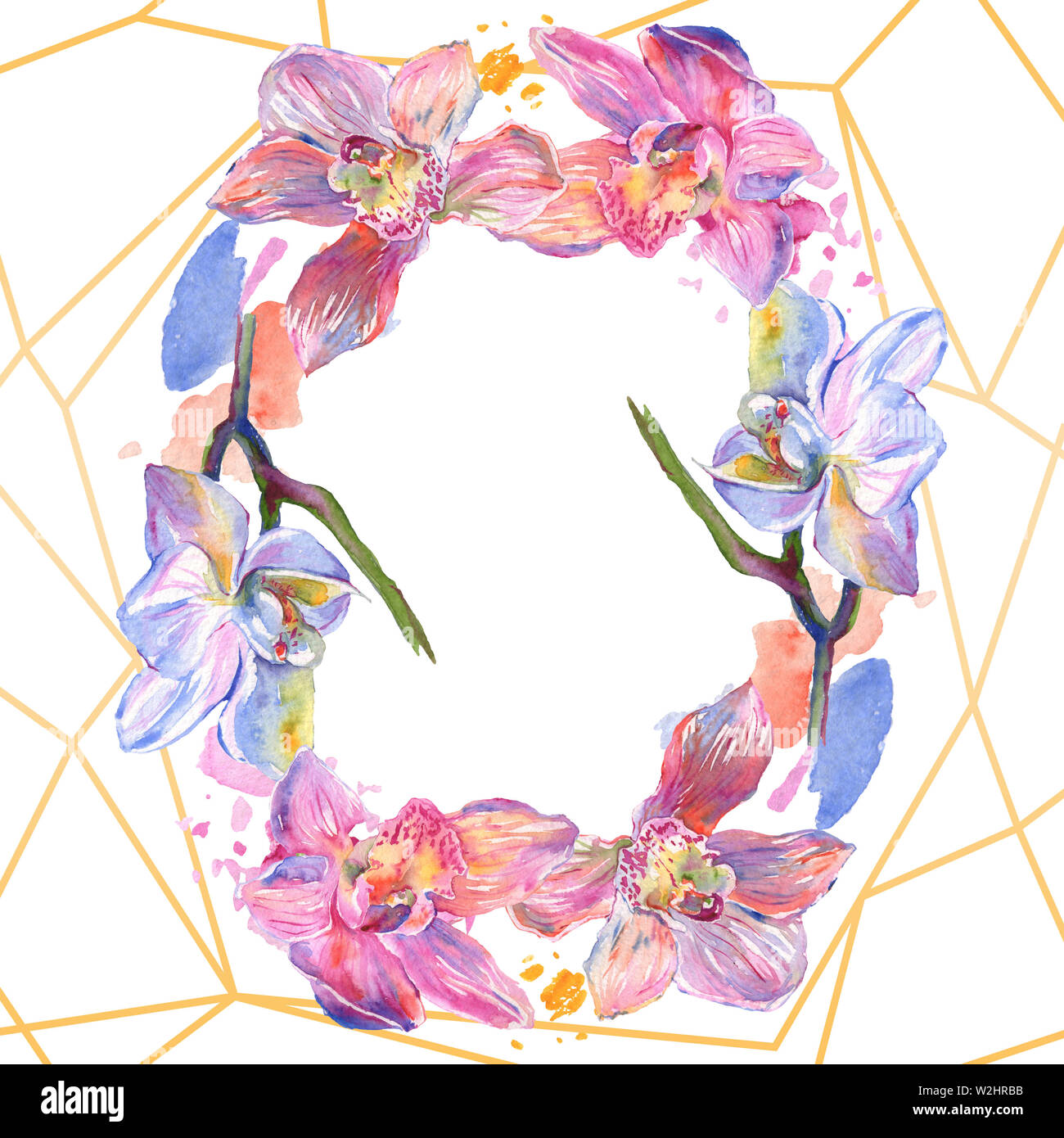 Floral fleurs orchidées botaniques. Lame de ressort sauvages isolés de fleurs sauvages. Contexte aquarelle illustration set. Aquarelle Dessin aquarelle de mode. Banque D'Images