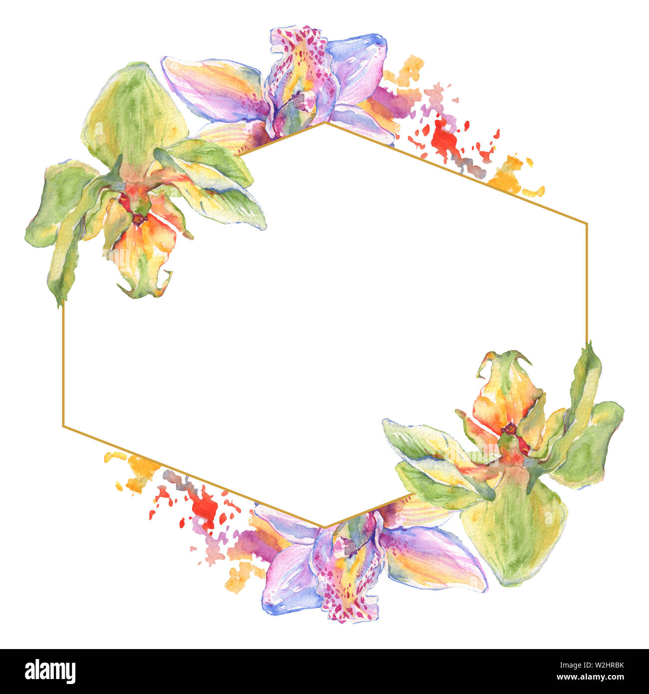 Floral fleurs orchidées botaniques. Lame de ressort sauvages isolés de fleurs sauvages. Contexte aquarelle illustration set. Aquarelle Dessin aquarelle de mode. Banque D'Images