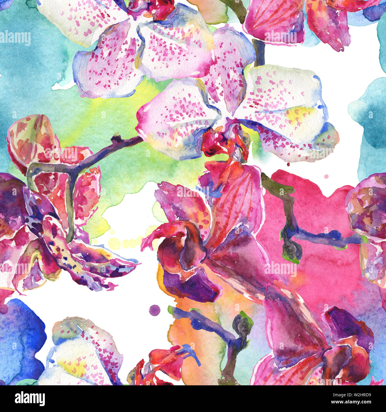 Floral fleurs orchidées botaniques. Printemps sauvage de fleurs sauvages de la feuille. Illustration à l'aquarelle. Aquarelle Dessin aquarelle de mode. Fond transparent Banque D'Images