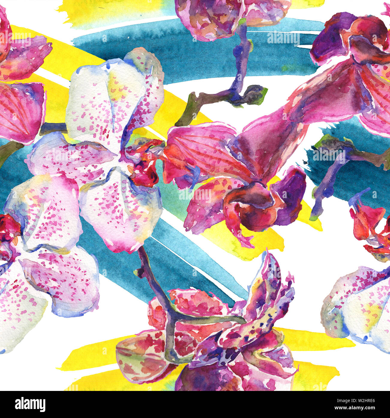 Floral fleurs orchidées botaniques. Printemps sauvage de fleurs sauvages de la feuille. Illustration à l'aquarelle. Aquarelle Dessin aquarelle de mode. Fond transparent Banque D'Images