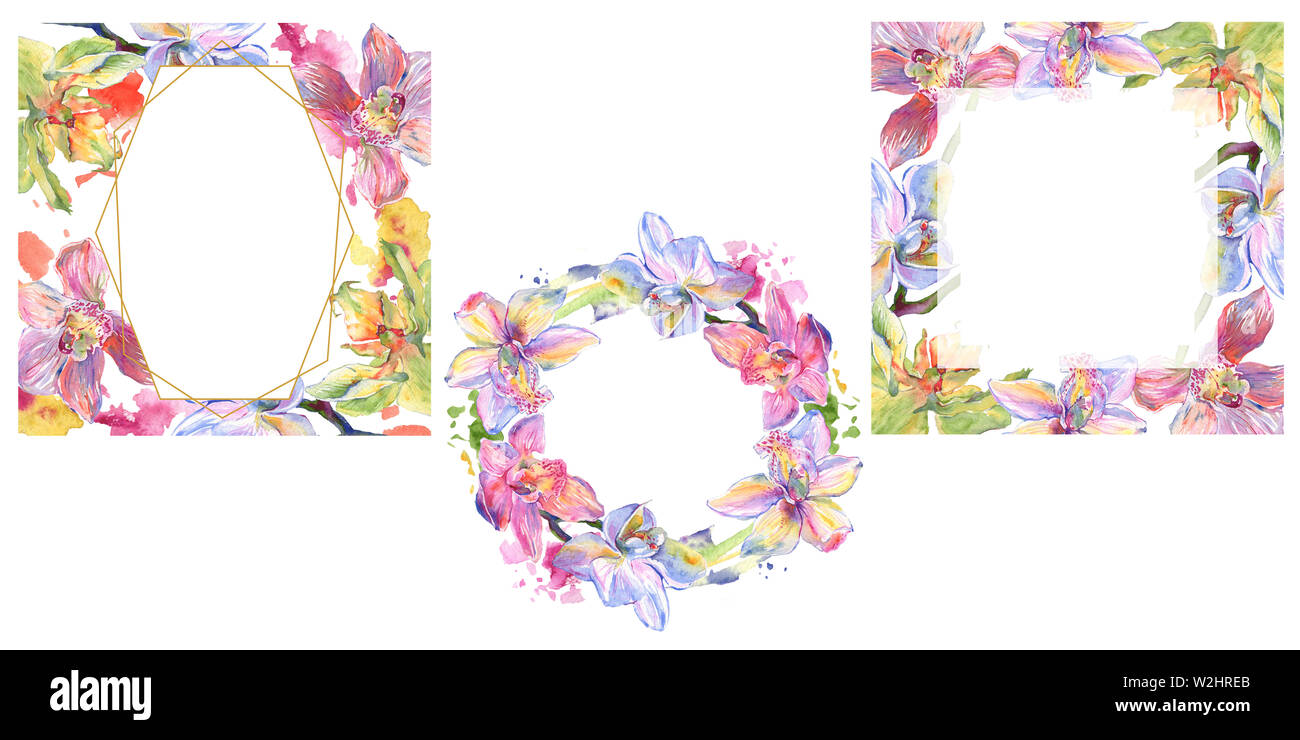Floral fleurs orchidées botaniques. Lame de ressort sauvages isolés de fleurs sauvages. Contexte aquarelle illustration set. Aquarelle Dessin aquarelle de mode. Banque D'Images