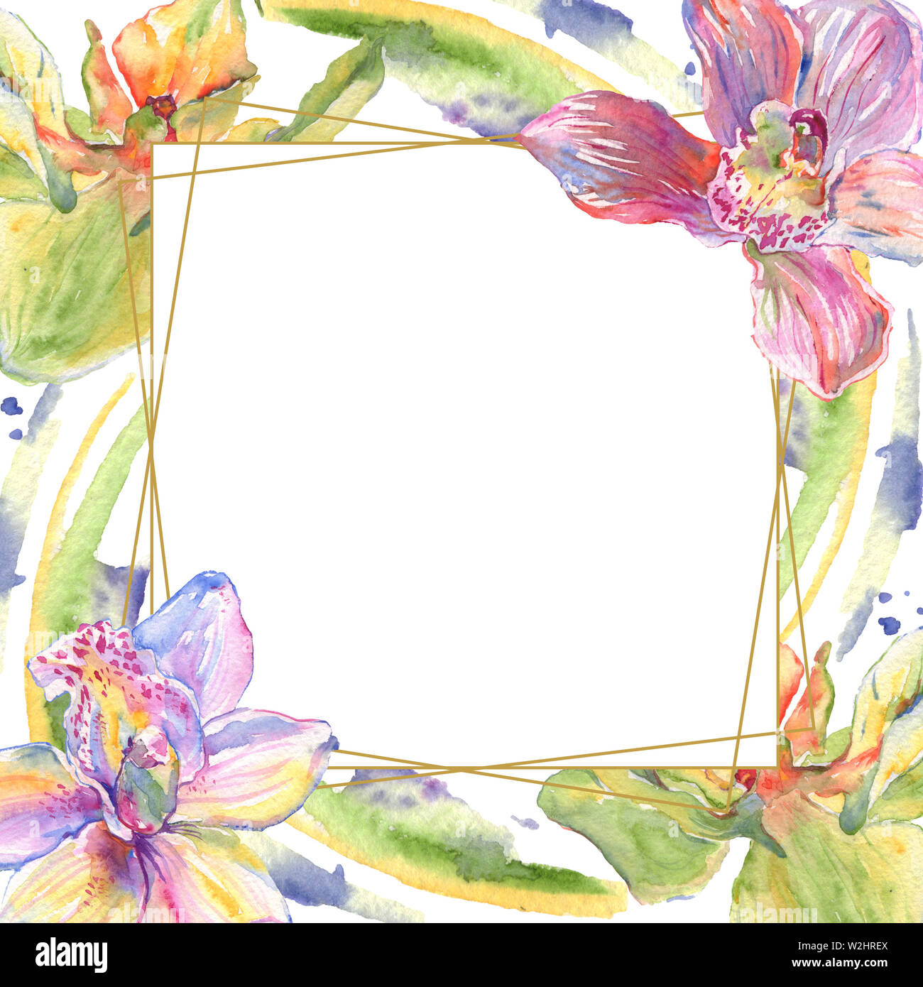 Floral fleurs orchidées botaniques. Lame de ressort sauvages isolés de fleurs sauvages. Contexte aquarelle illustration set. Aquarelle Dessin aquarelle de mode. Banque D'Images