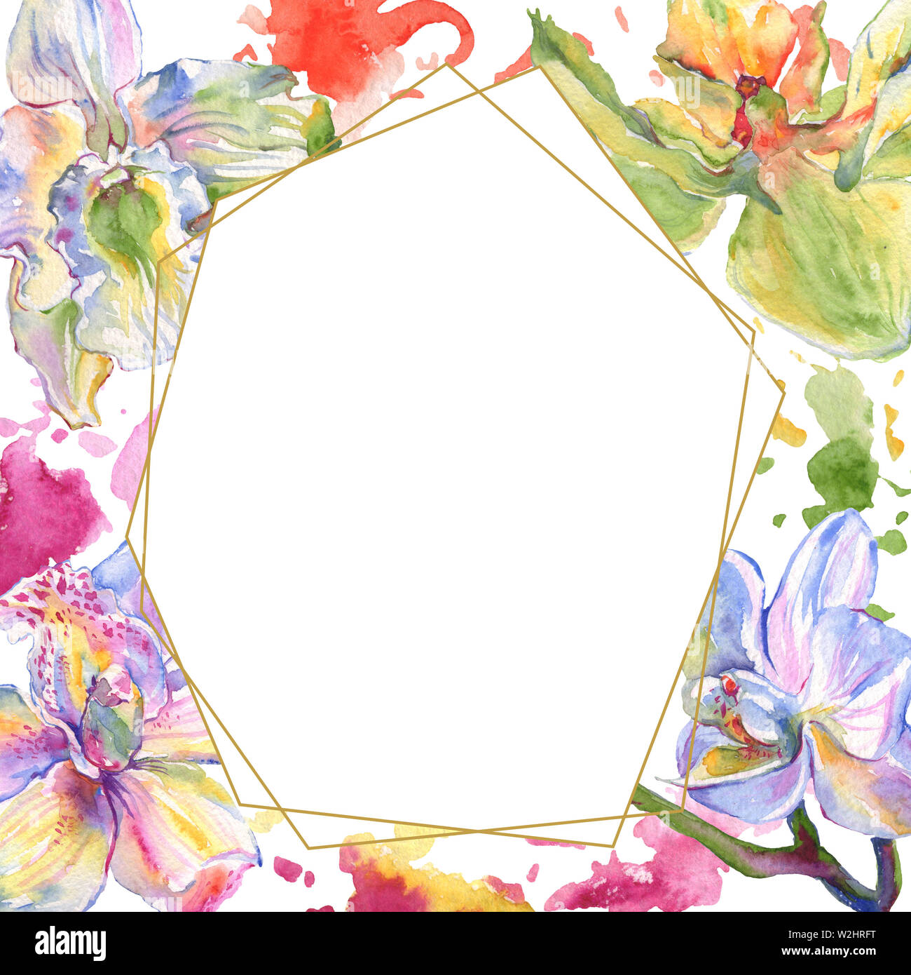 Floral fleurs orchidées botaniques. Lame de ressort sauvages isolés de fleurs sauvages. Contexte aquarelle illustration set. Aquarelle Dessin aquarelle de mode. Banque D'Images