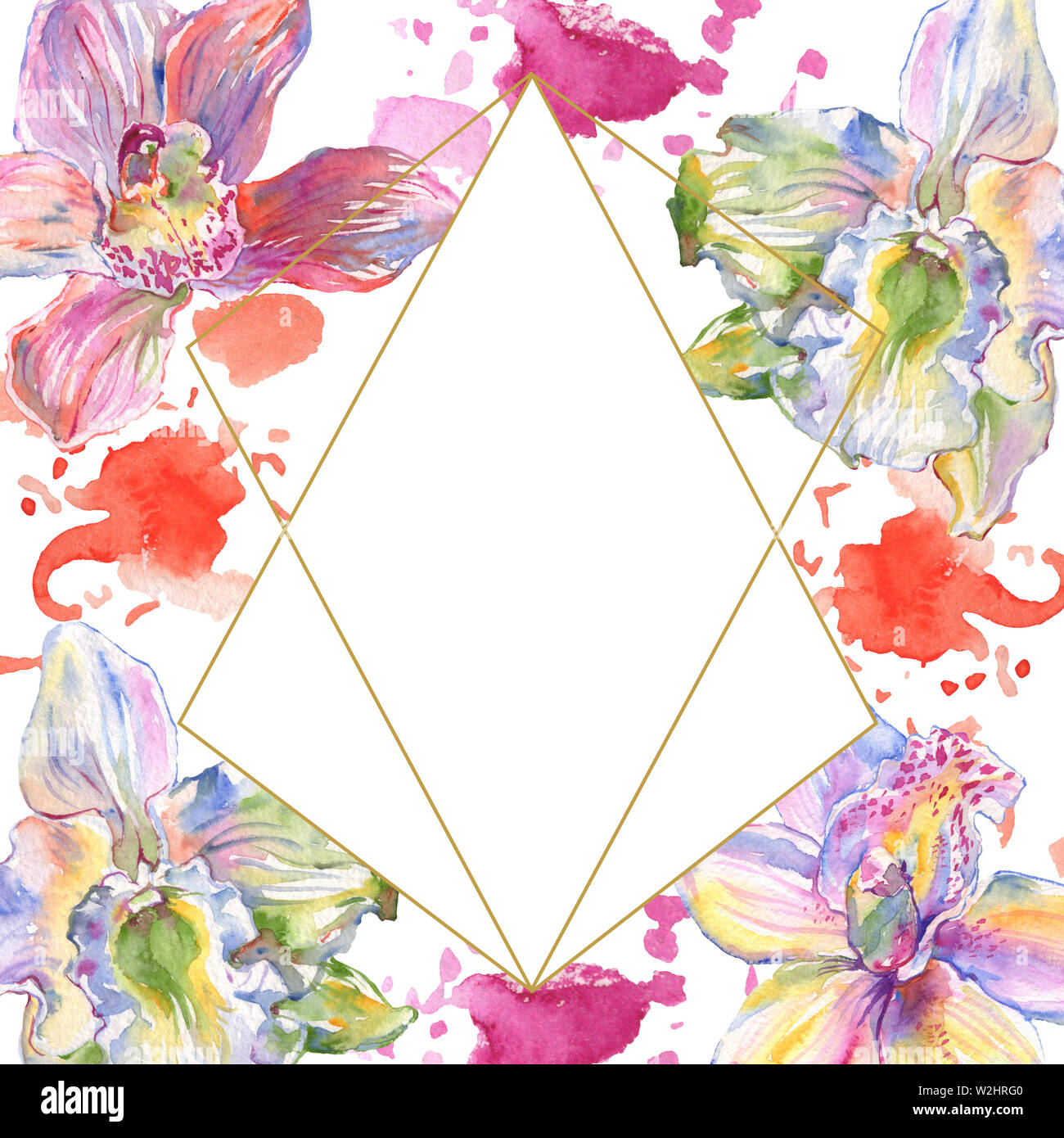 Floral fleurs orchidées botaniques. Lame de ressort sauvages isolés de fleurs sauvages. Contexte aquarelle illustration set. Aquarelle Dessin aquarelle de mode. Banque D'Images