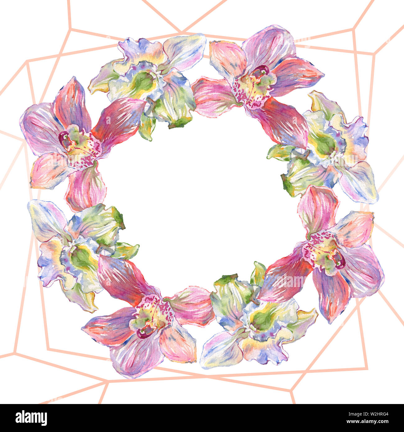 Floral fleurs orchidées botaniques. Lame de ressort sauvages isolés de fleurs sauvages. Contexte aquarelle illustration set. Aquarelle Dessin aquarelle de mode. Banque D'Images