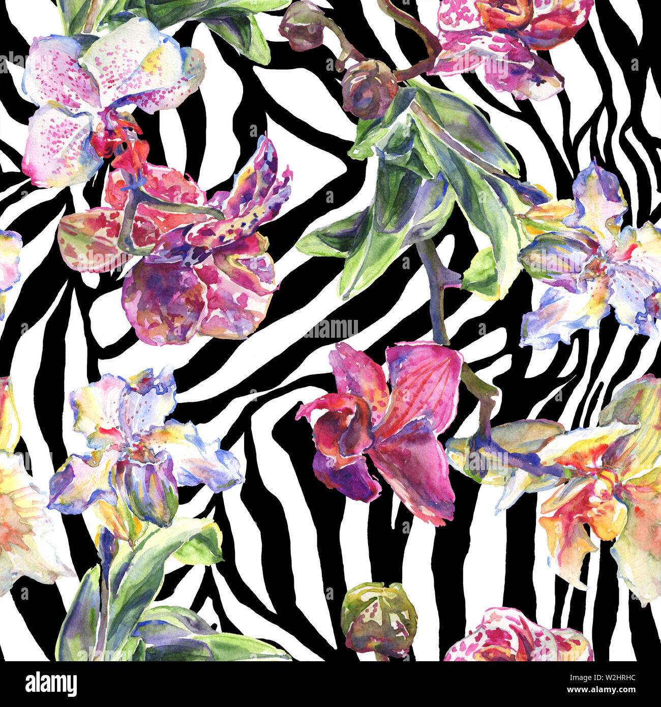 Floral fleurs orchidées botaniques. Printemps sauvage de fleurs sauvages de la feuille. Illustration à l'aquarelle. Aquarelle Dessin aquarelle de mode. Fond transparent Banque D'Images