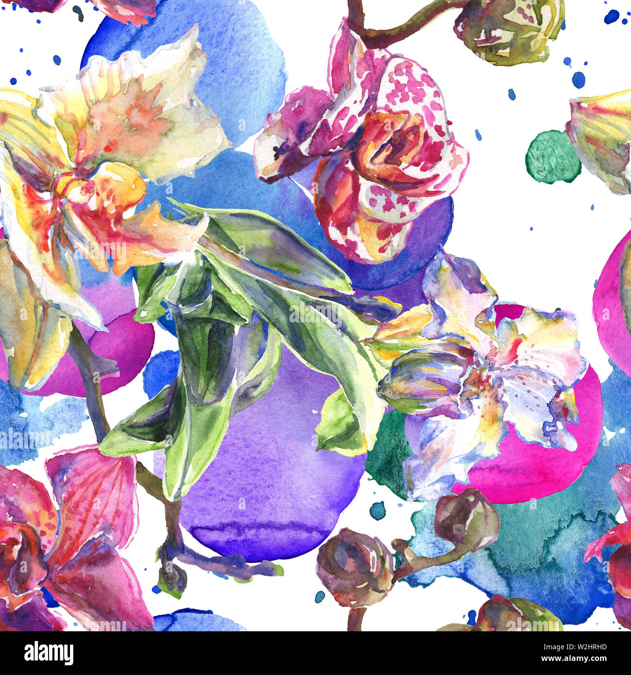 Floral fleurs orchidées botaniques. Printemps sauvage de fleurs sauvages de la feuille. Illustration à l'aquarelle. Aquarelle Dessin aquarelle de mode. Fond transparent Banque D'Images