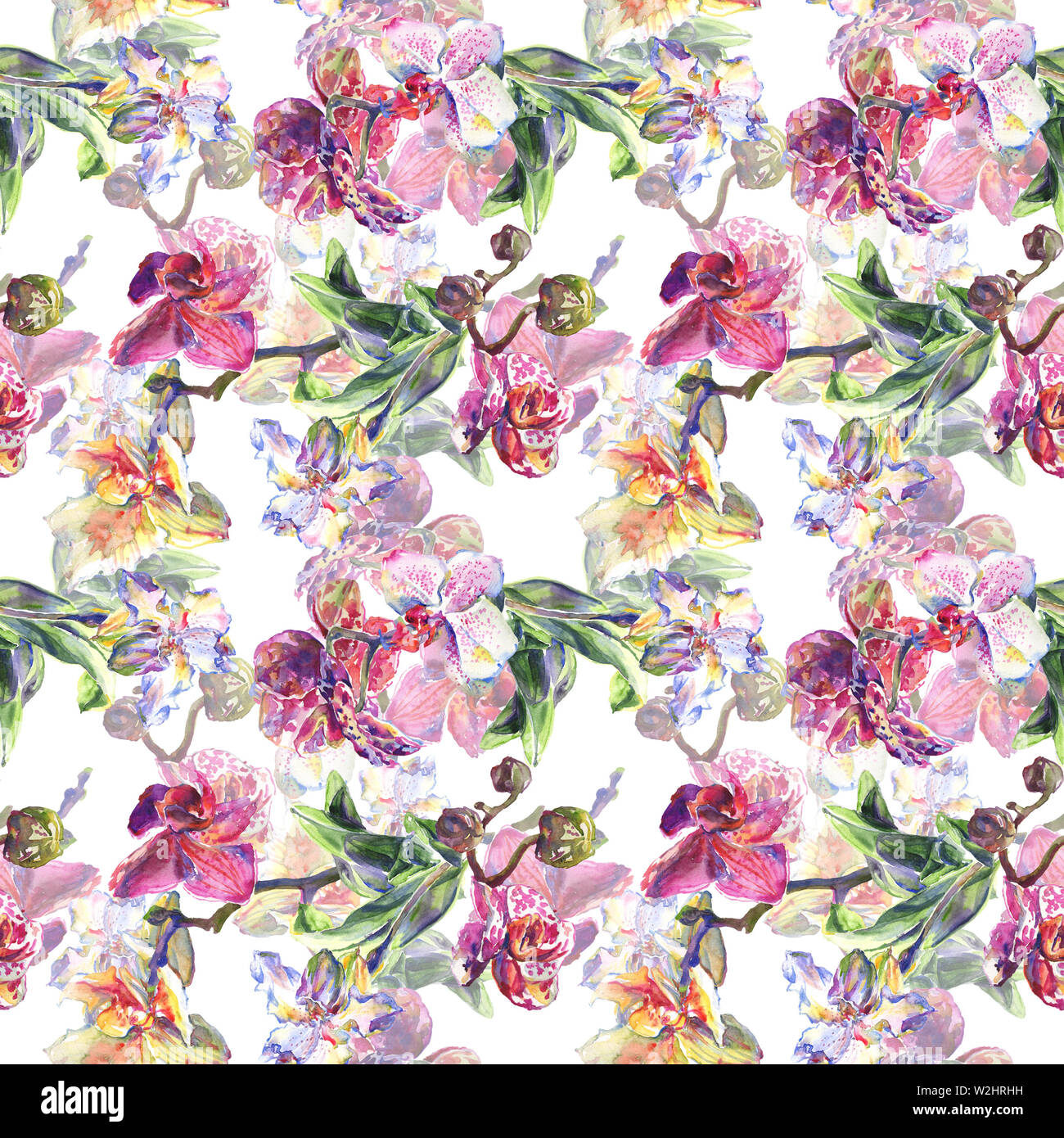 Floral fleurs orchidées botaniques. Printemps sauvage de fleurs sauvages de la feuille. Illustration à l'aquarelle. Aquarelle Dessin aquarelle de mode. Fond transparent Banque D'Images