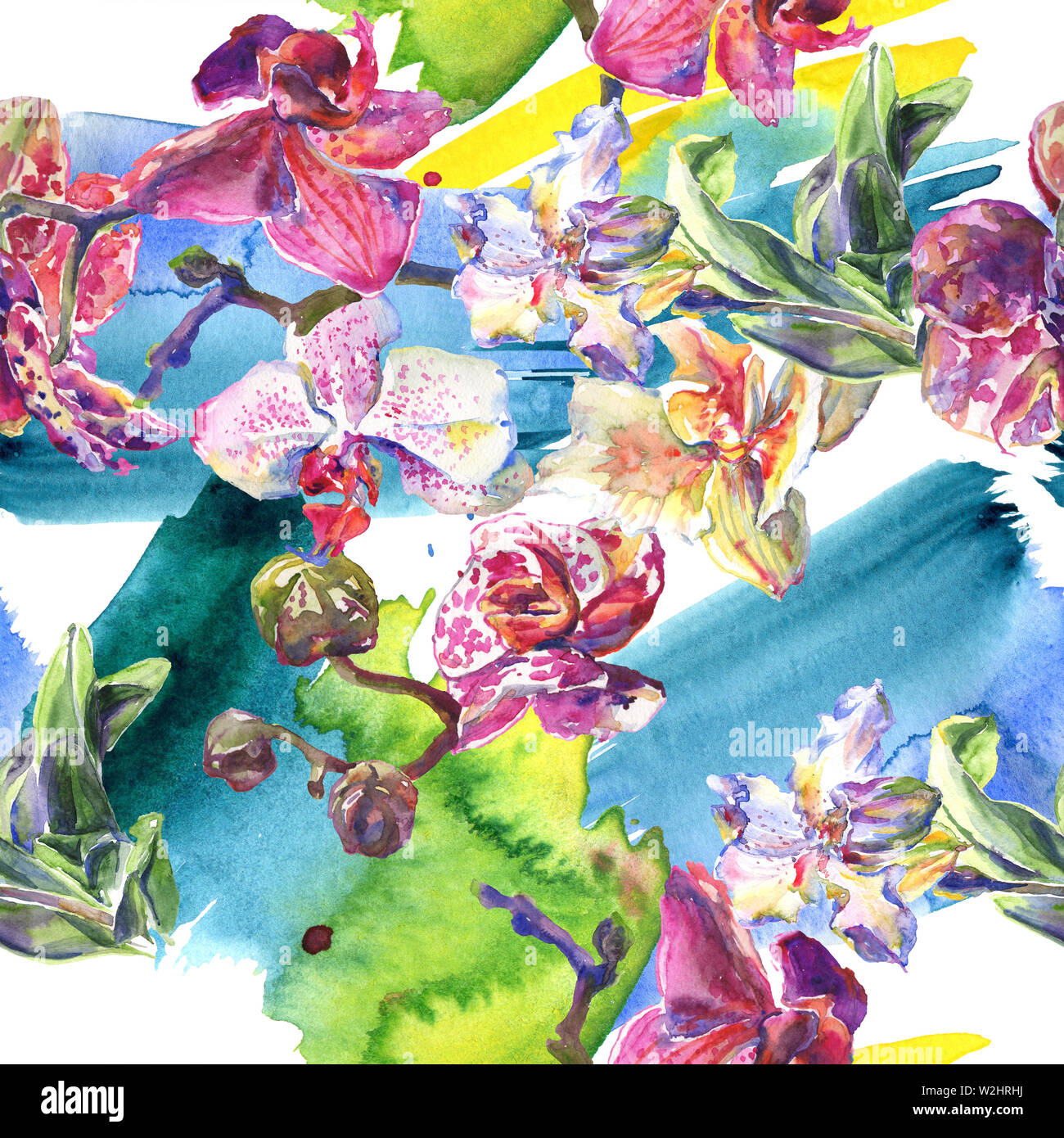 Floral fleurs orchidées botaniques. Printemps sauvage de fleurs sauvages de la feuille. Illustration à l'aquarelle. Aquarelle Dessin aquarelle de mode. Fond transparent Banque D'Images