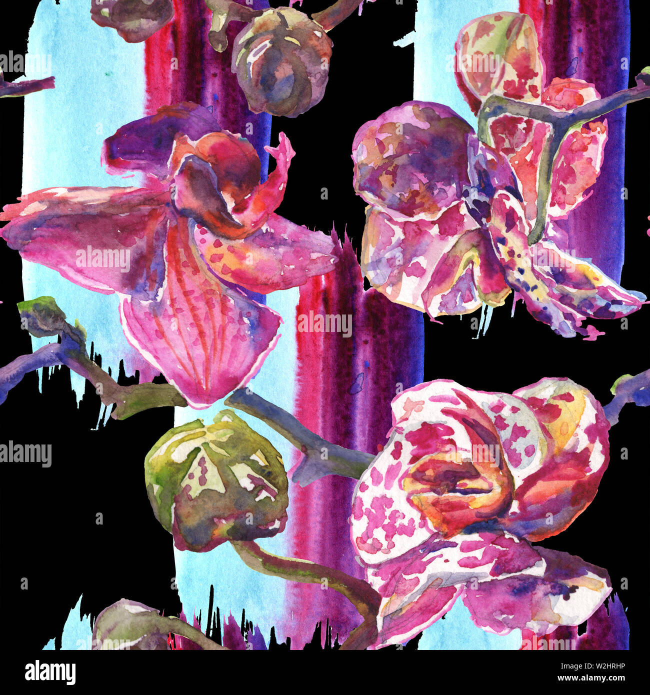 Floral fleurs orchidées botaniques. Printemps sauvage de fleurs sauvages de la feuille. Illustration à l'aquarelle. Aquarelle Dessin aquarelle de mode. Fond transparent Banque D'Images