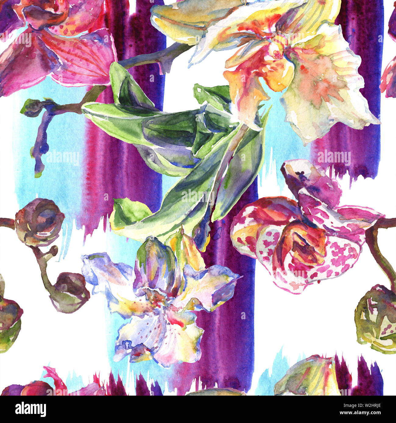 Floral fleurs orchidées botaniques. Printemps sauvage de fleurs sauvages de la feuille. Illustration à l'aquarelle. Aquarelle Dessin aquarelle de mode. Fond transparent Banque D'Images