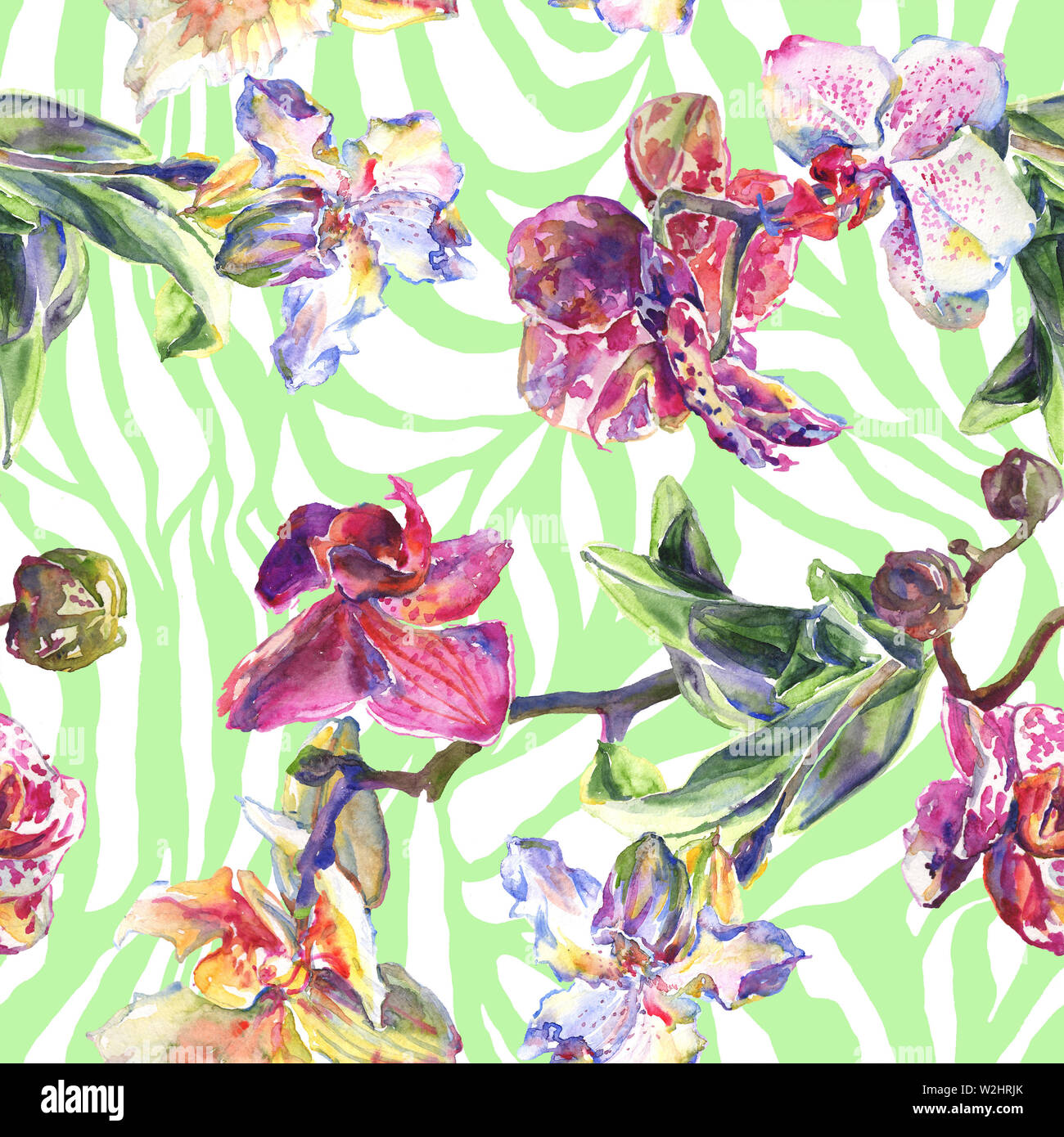 Floral fleurs orchidées botaniques. Printemps sauvage de fleurs sauvages de la feuille. Illustration à l'aquarelle. Aquarelle Dessin aquarelle de mode. Fond transparent Banque D'Images