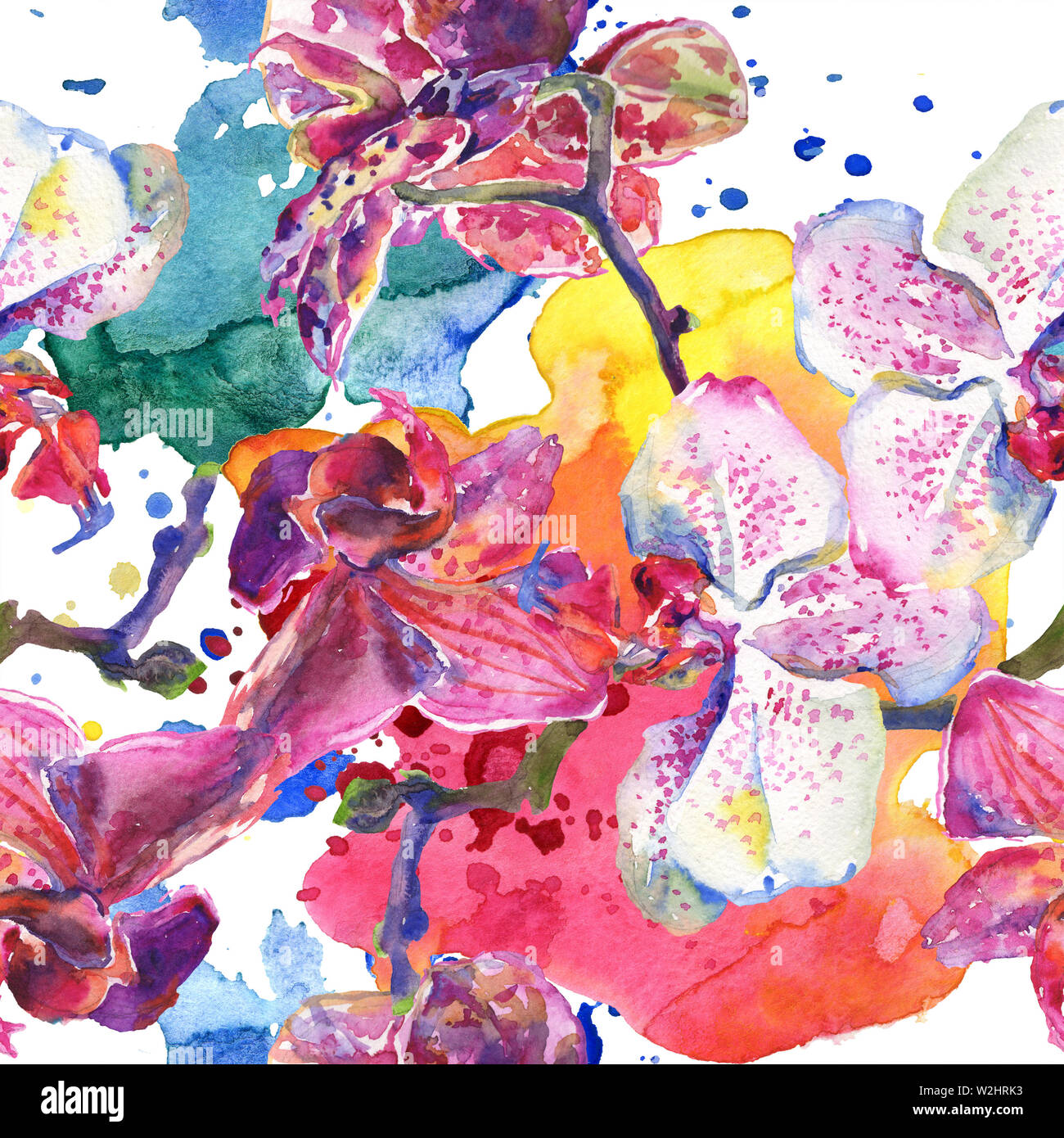 Floral fleurs orchidées botaniques. Printemps sauvage de fleurs sauvages de la feuille. Illustration à l'aquarelle. Aquarelle Dessin aquarelle de mode. Fond transparent Banque D'Images