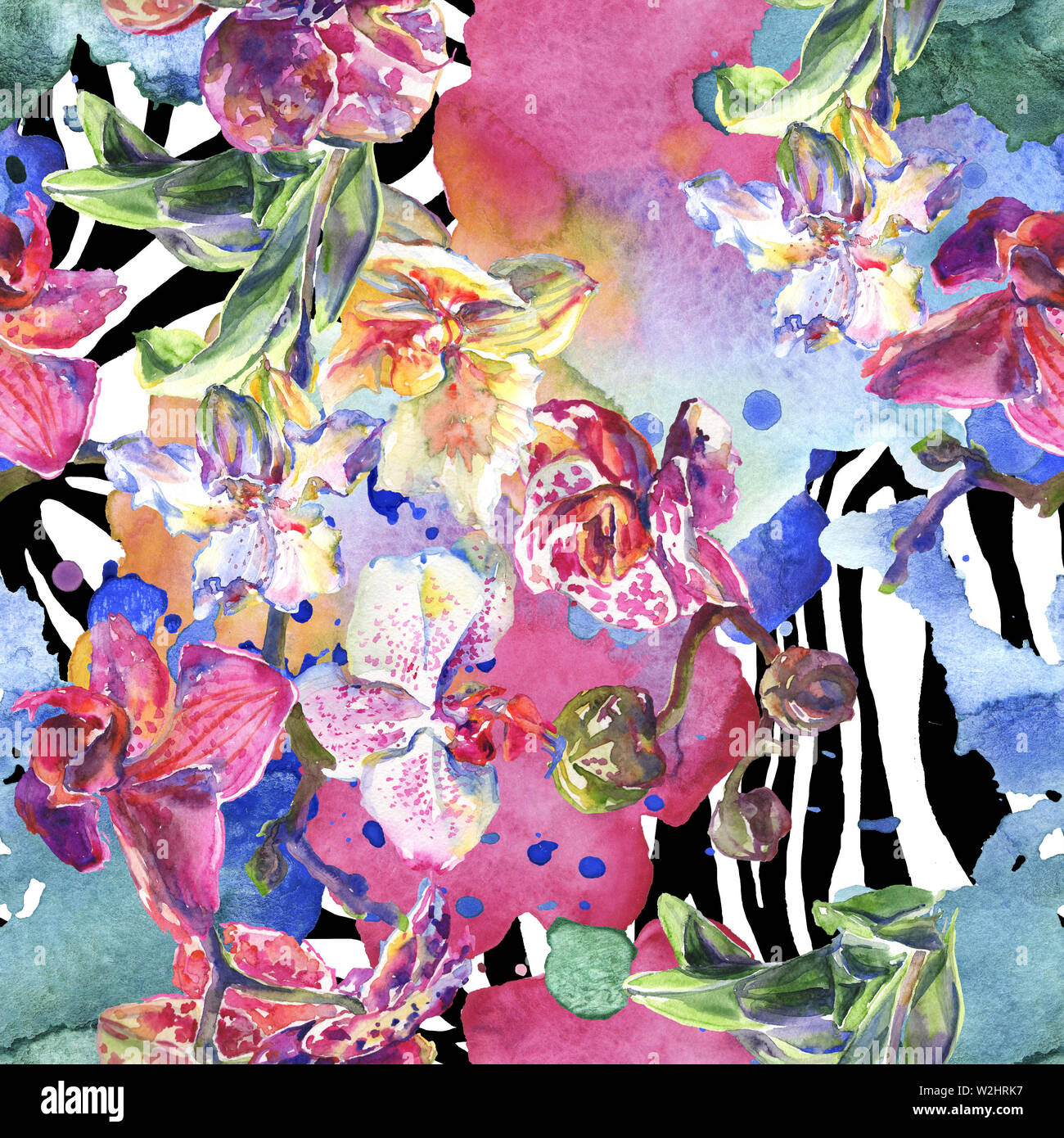 Floral fleurs orchidées botaniques. Printemps sauvage de fleurs sauvages de la feuille. Illustration à l'aquarelle. Aquarelle Dessin aquarelle de mode. Fond transparent Banque D'Images