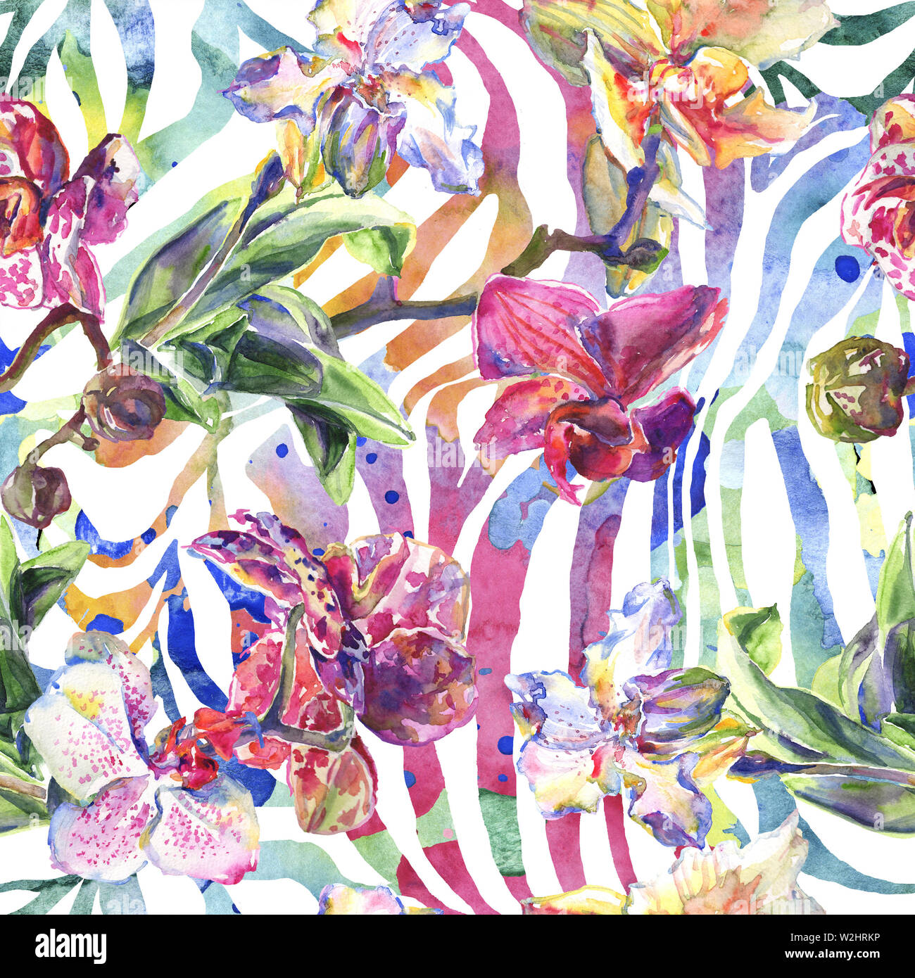 Floral fleurs orchidées botaniques. Printemps sauvage de fleurs sauvages de la feuille. Illustration à l'aquarelle. Aquarelle Dessin aquarelle de mode. Fond transparent Banque D'Images