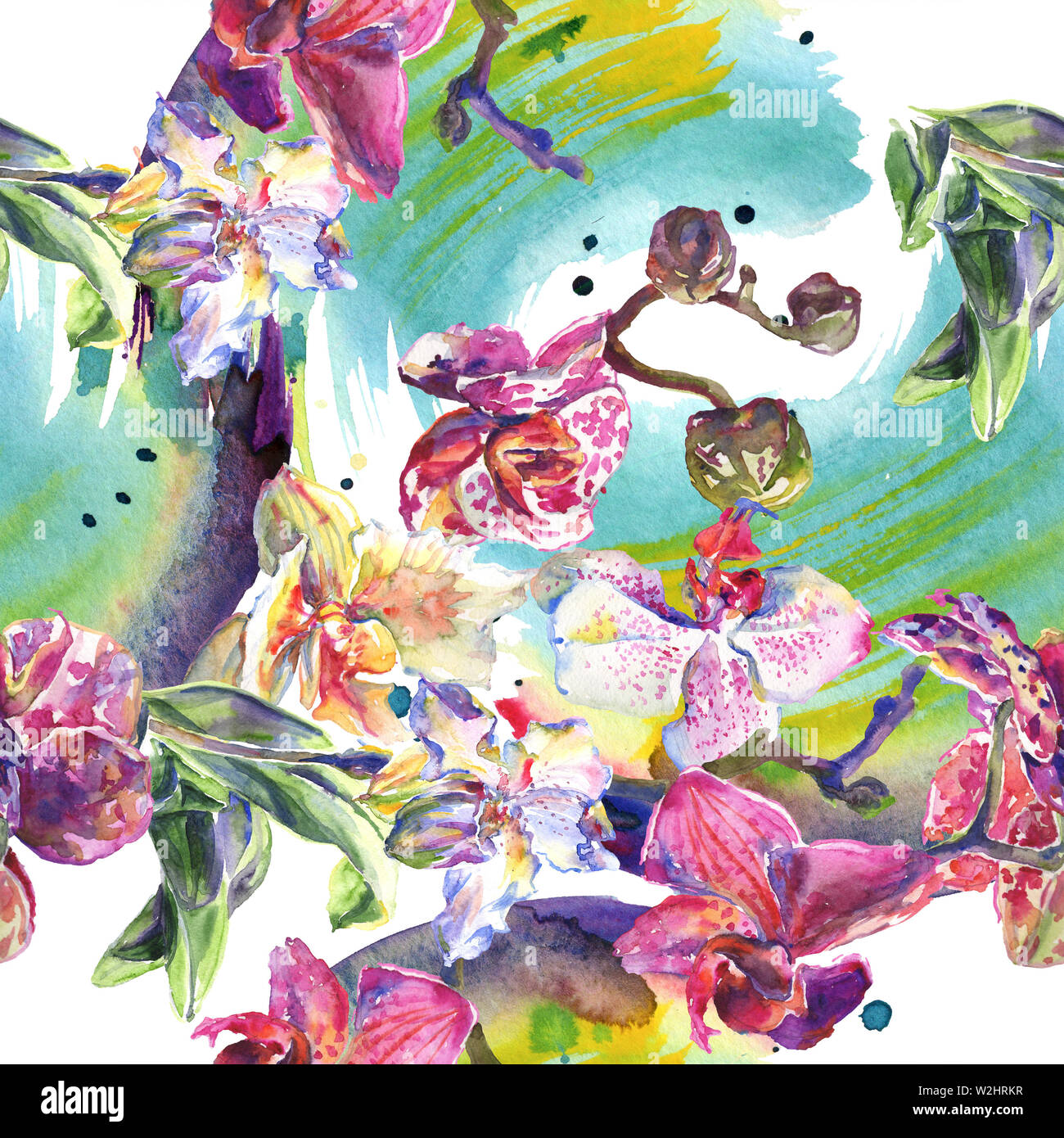 Floral fleurs orchidées botaniques. Printemps sauvage de fleurs sauvages de la feuille. Illustration à l'aquarelle. Aquarelle Dessin aquarelle de mode. Fond transparent Banque D'Images