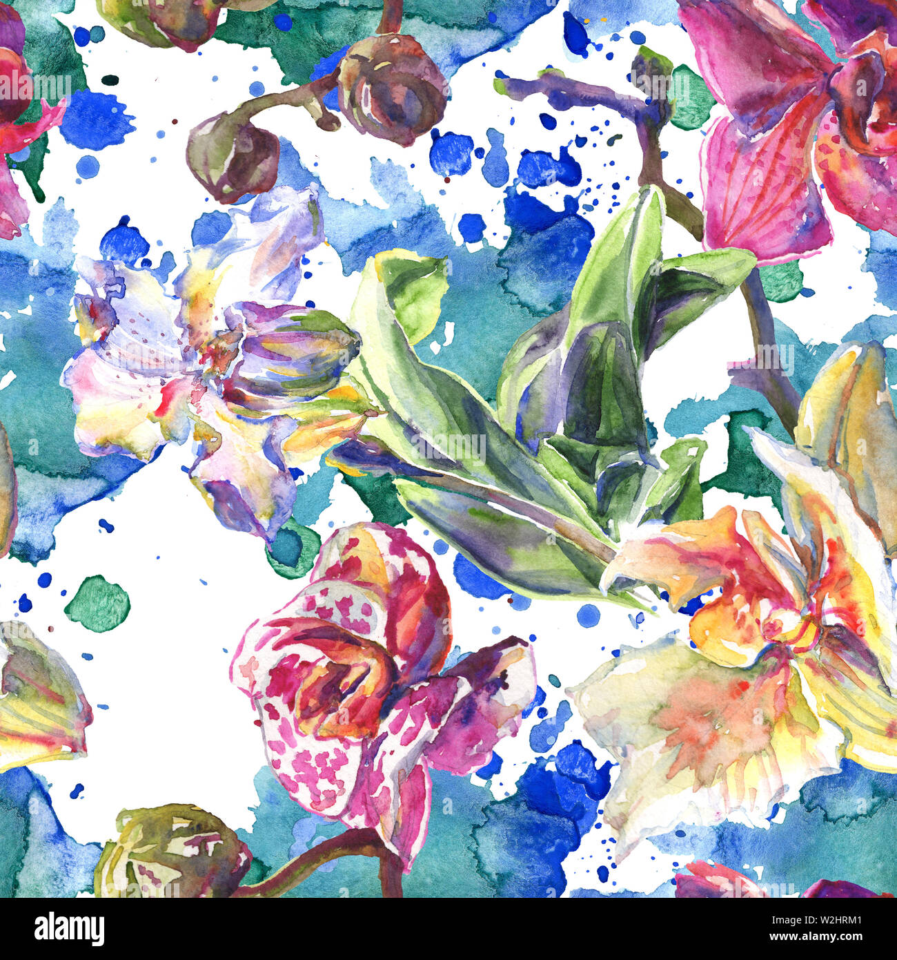 Floral fleurs orchidées botaniques. Printemps sauvage de fleurs sauvages de la feuille. Illustration à l'aquarelle. Aquarelle Dessin aquarelle de mode. Fond transparent Banque D'Images