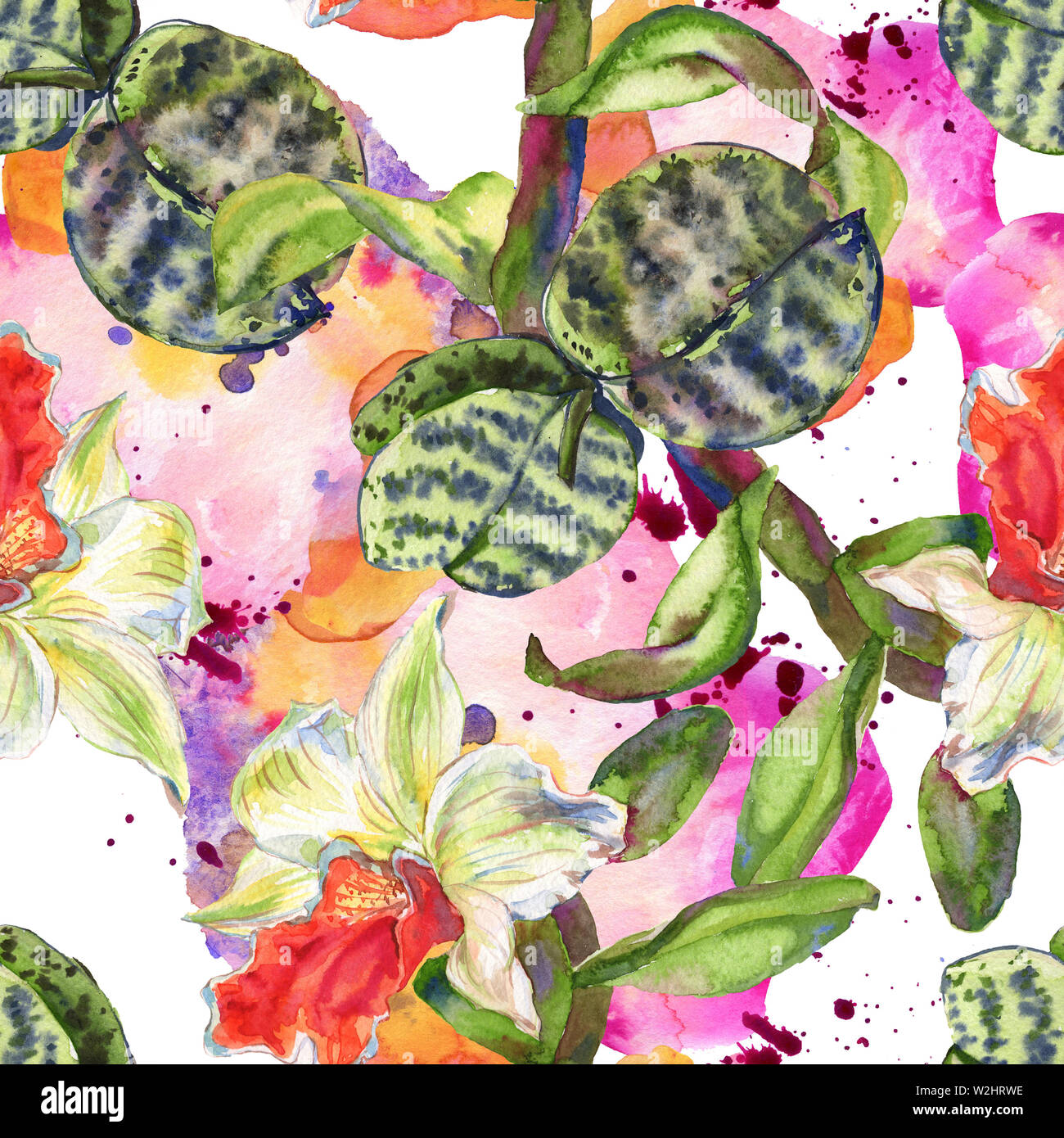 Floral fleur orchidée botanique. Lame de ressort sauvages isolés de fleurs sauvages. Contexte aquarelle illustration set. Dessin aquarelle aquarelle est la mode Banque D'Images