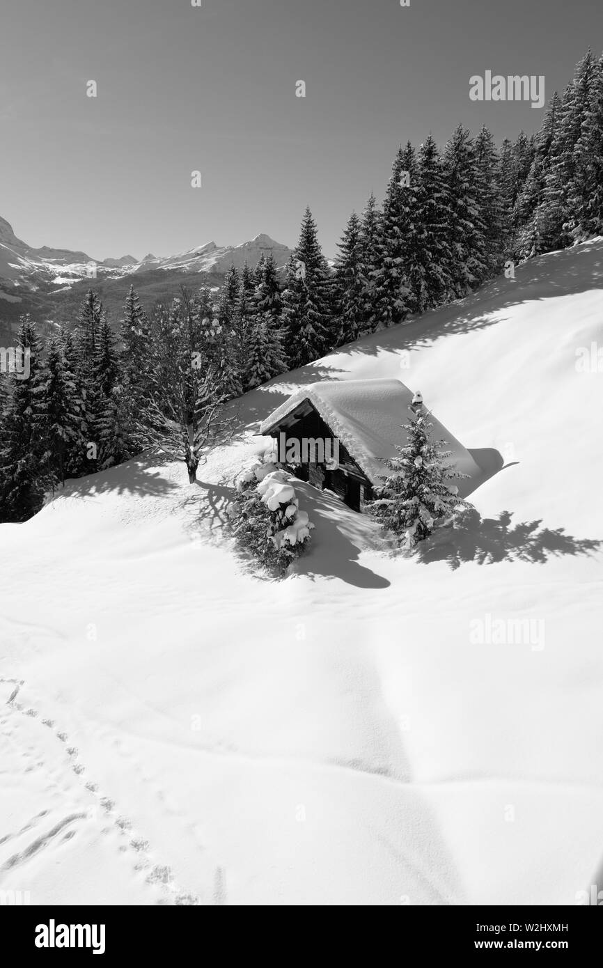 Log cabin enneigés d'arbres et montagne sur une parfaite journée hivers dans la région Jungfrau Alpes Suisses Banque D'Images