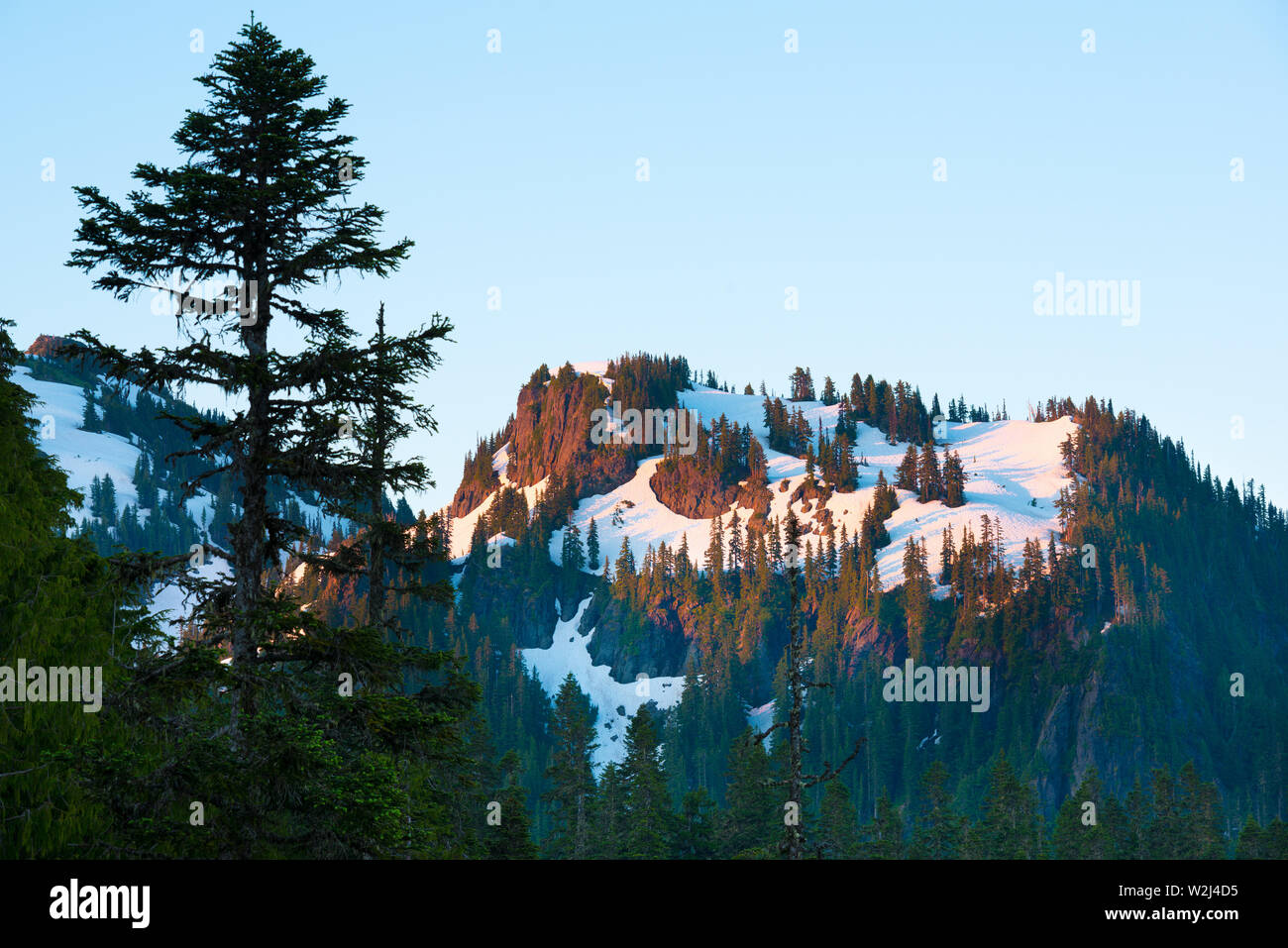 Paradise Salon à Mount Rainier National Park, Washington State, USA Banque D'Images