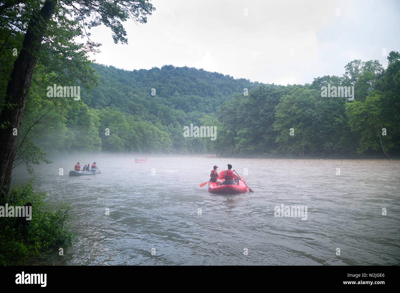 Les canots et les radeaux s'écarter de la rive pour un brouillard Youghiogheny couverte de brouillard de la pagaie dans l'eau vive PA Ohiopyle. © 2019 Mark Bealer Tous droits réservés Banque D'Images