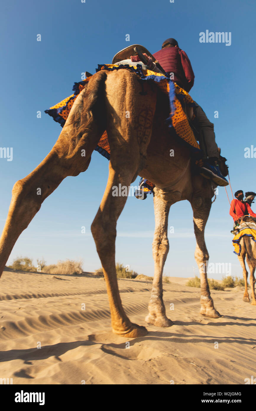 Tourisme à dromadaire dans le désert de Thar Banque D'Images