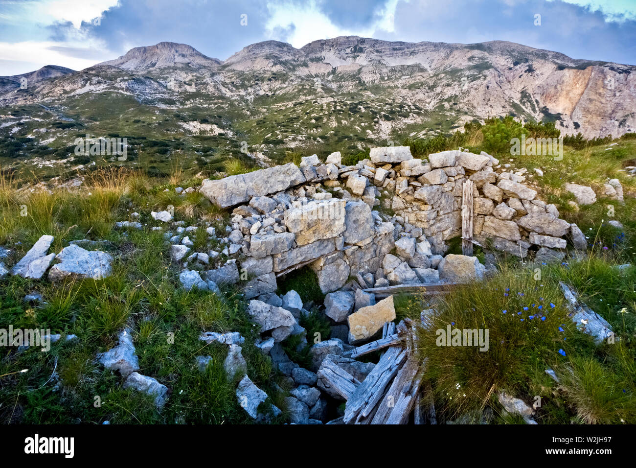 L'Italien des tranchées de la Grande Guerre sur Pasubio massif, province de Trente, Trentin-Haut-Adige, Italie, Europe. Banque D'Images