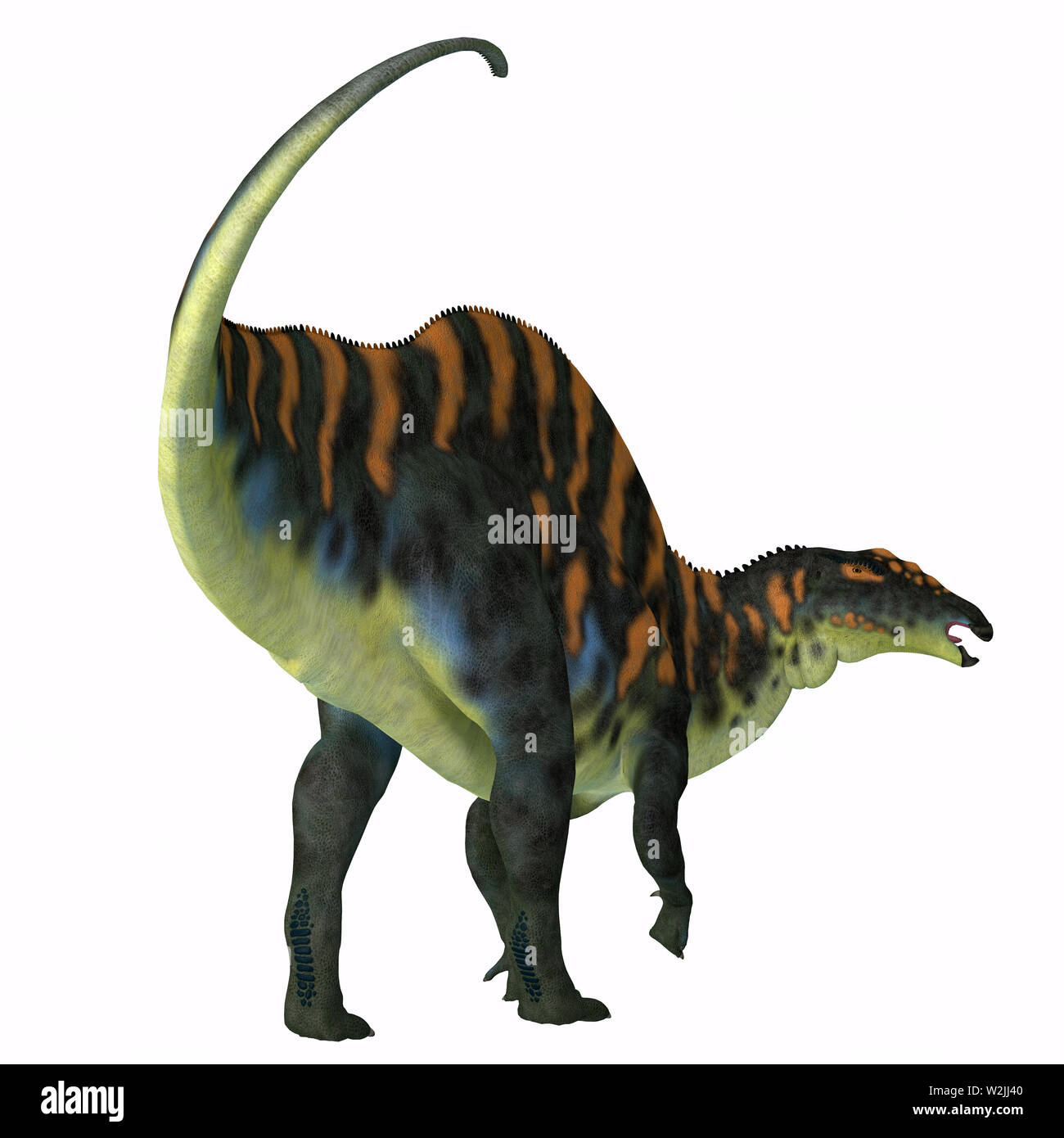 Ouranosaurus Ouranosaurus - dinosaure herbivore était un dinosaure Hadrosaures qui vivaient en Afrique au cours de la période du Crétacé. Banque D'Images