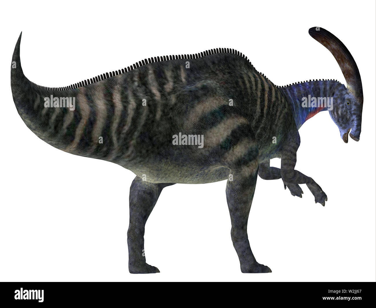 Parasaurolophus Extinct Prehistoric Cretaceous Banque d