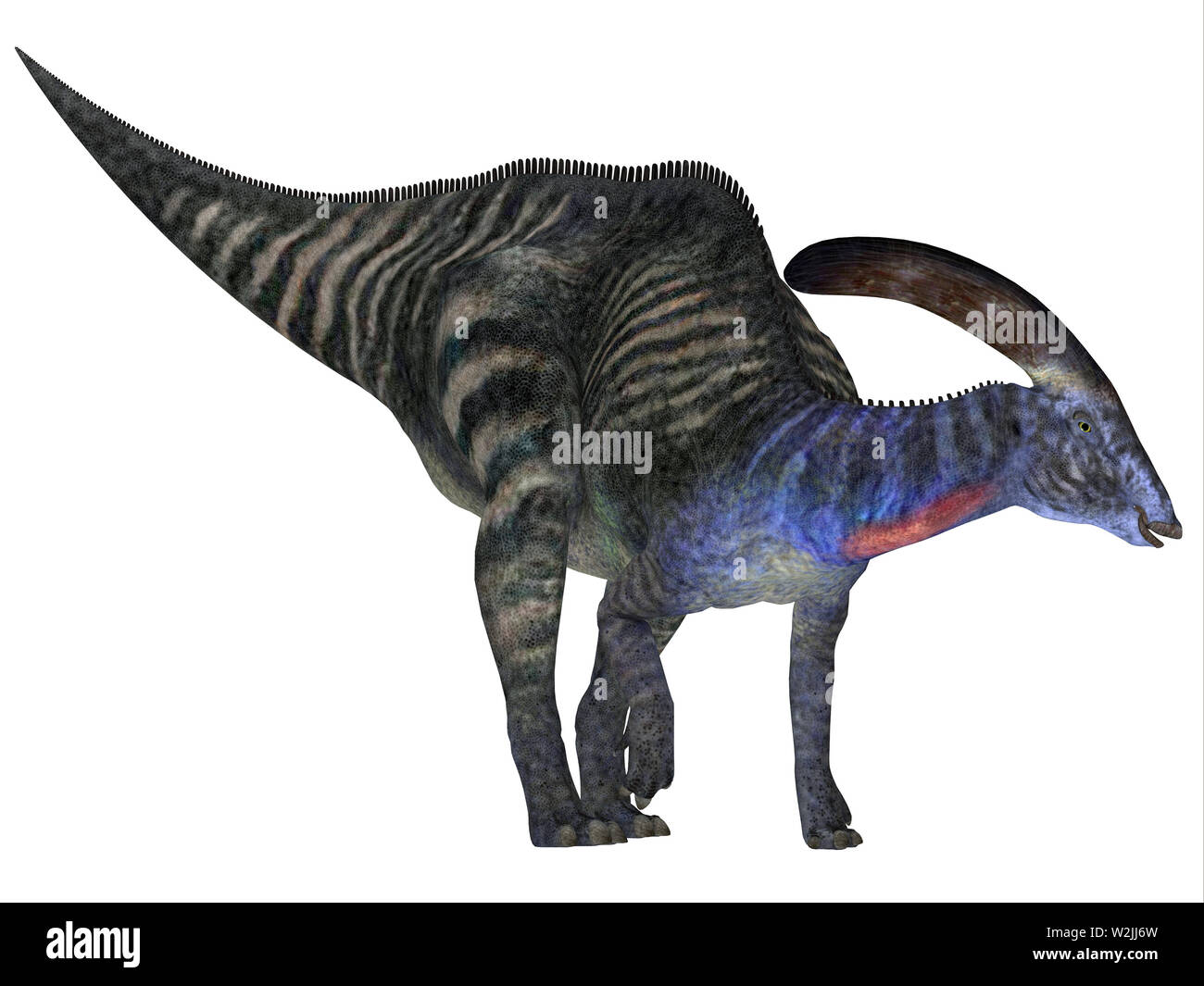 Parasaurolophus Extinct Prehistoric Cretaceous Banque d'image et photos