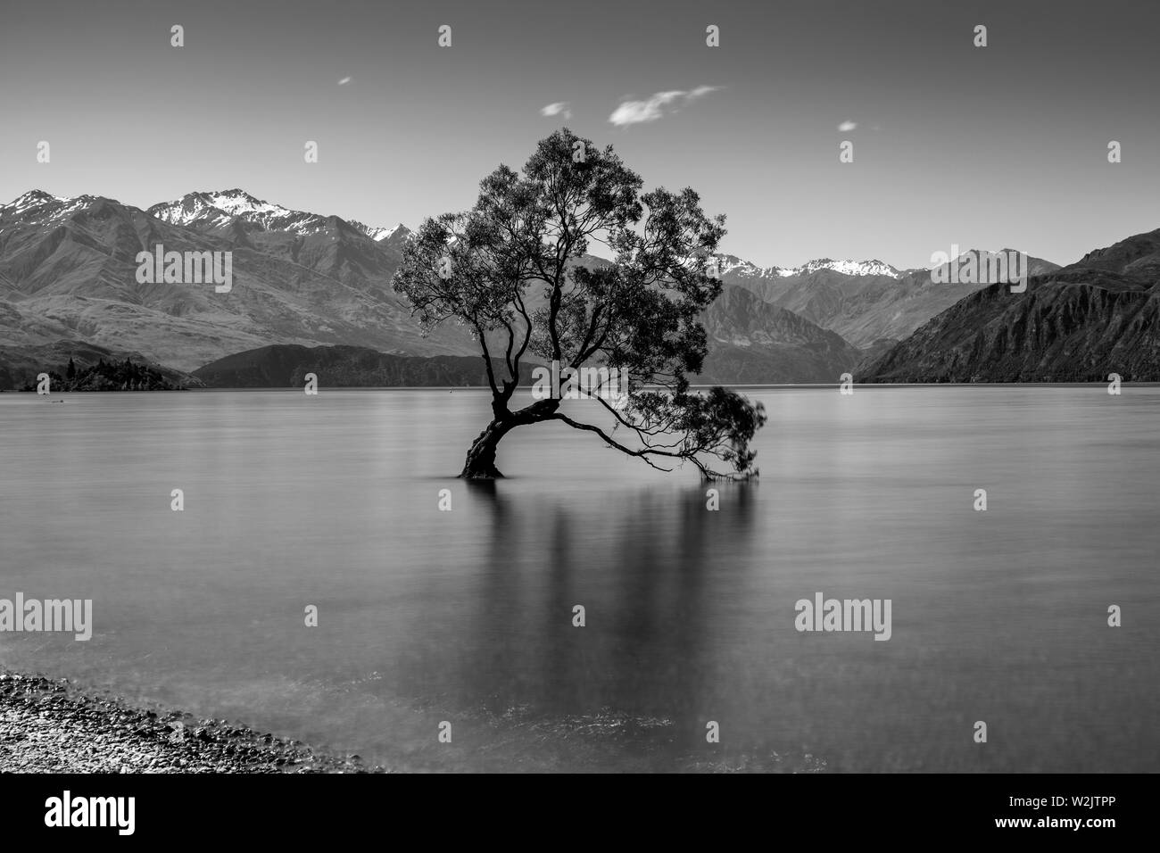 L'emblématique "Lone Tree' dans le lac, le lac Wanaka, Région de l'Otago, île du Sud, Nouvelle-Zélande Banque D'Images
