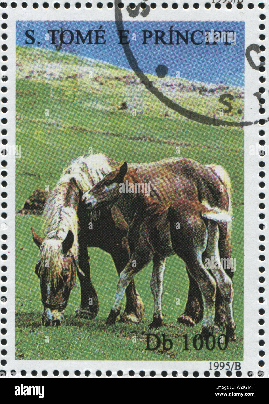 Russie KALININGRAD, 28 mars 2019 : timbres par Sao Tomé-et-Principe montre cheval, circa 1995 Banque D'Images