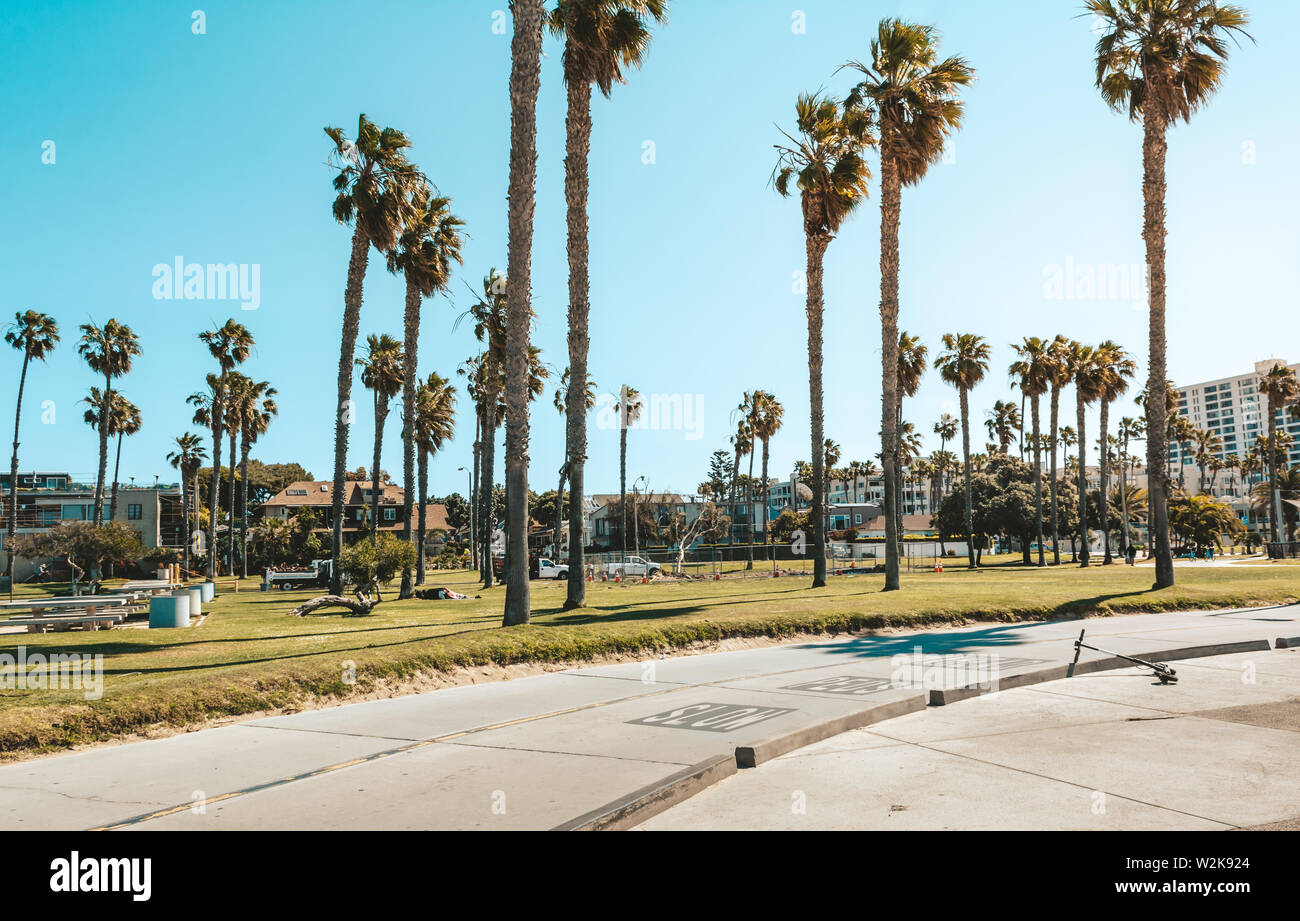 Palmiers à la plage de Santa Monica. Vintage Voyage, été, vacances et tropical beach concept. Banque D'Images