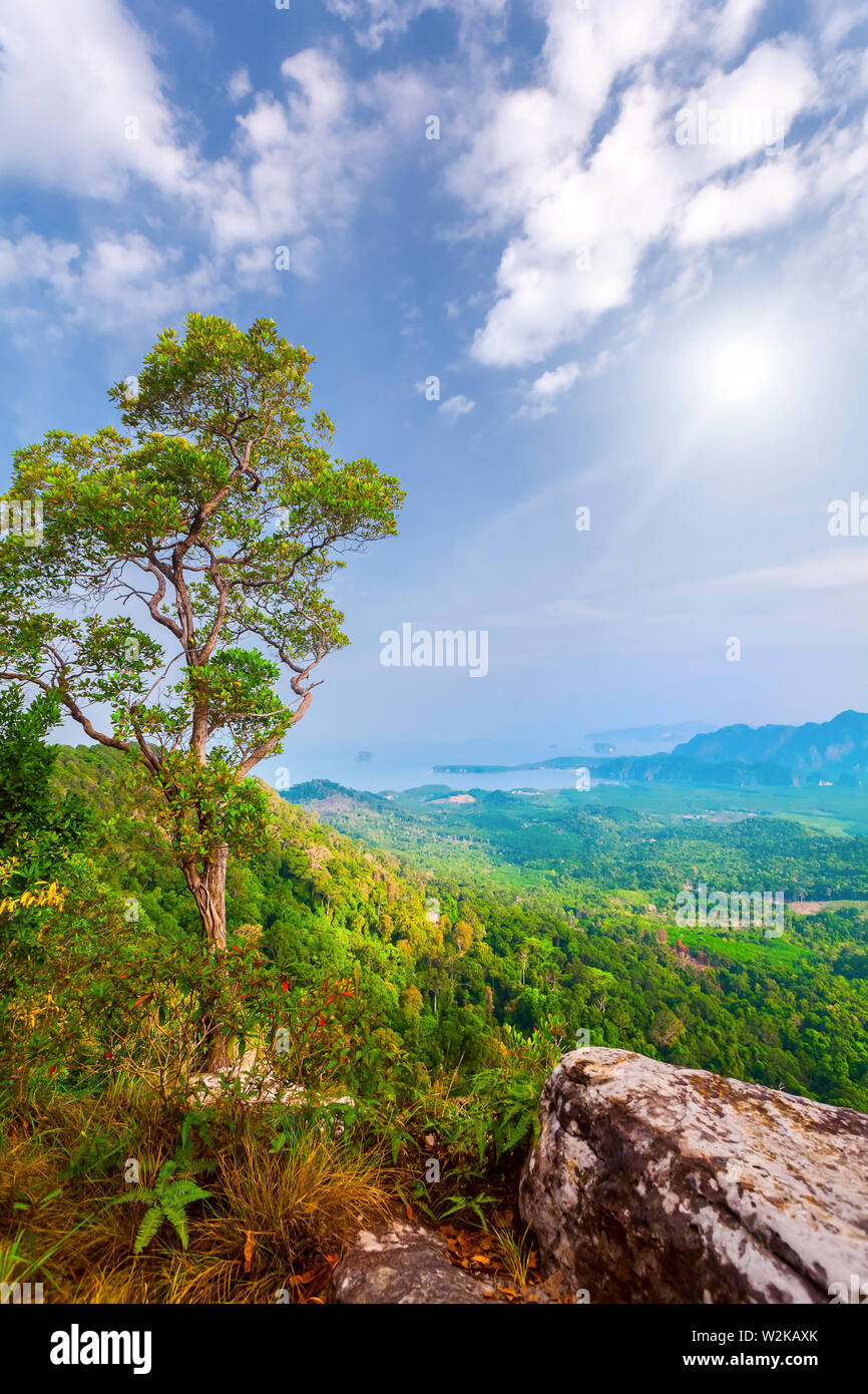 Beau paysage avec des arbres verts sur les montagnes, rochers et soleil en Thaïlande Banque D'Images