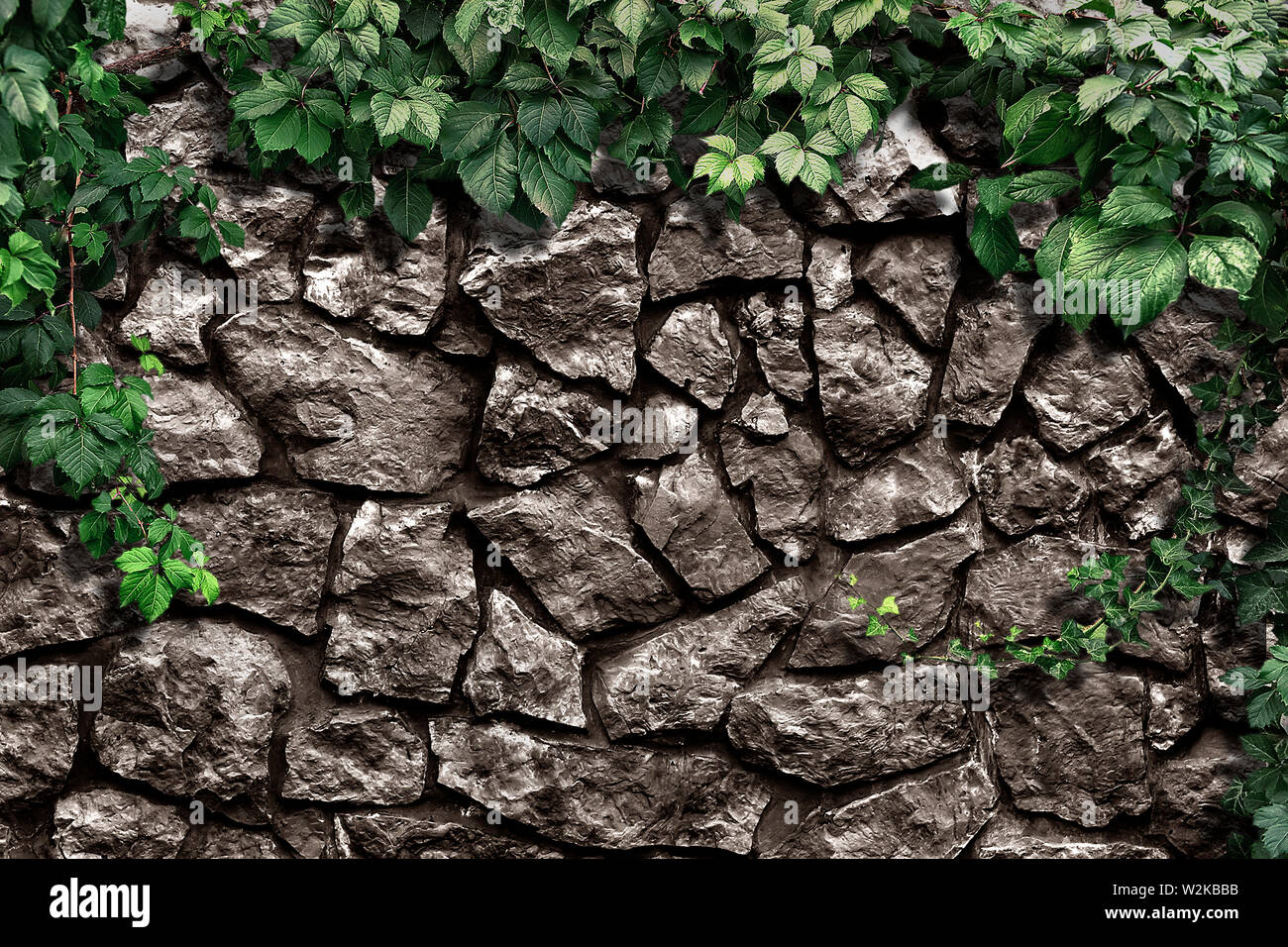 Plante grimpante sur le vieux mur de pierre Banque D'Images