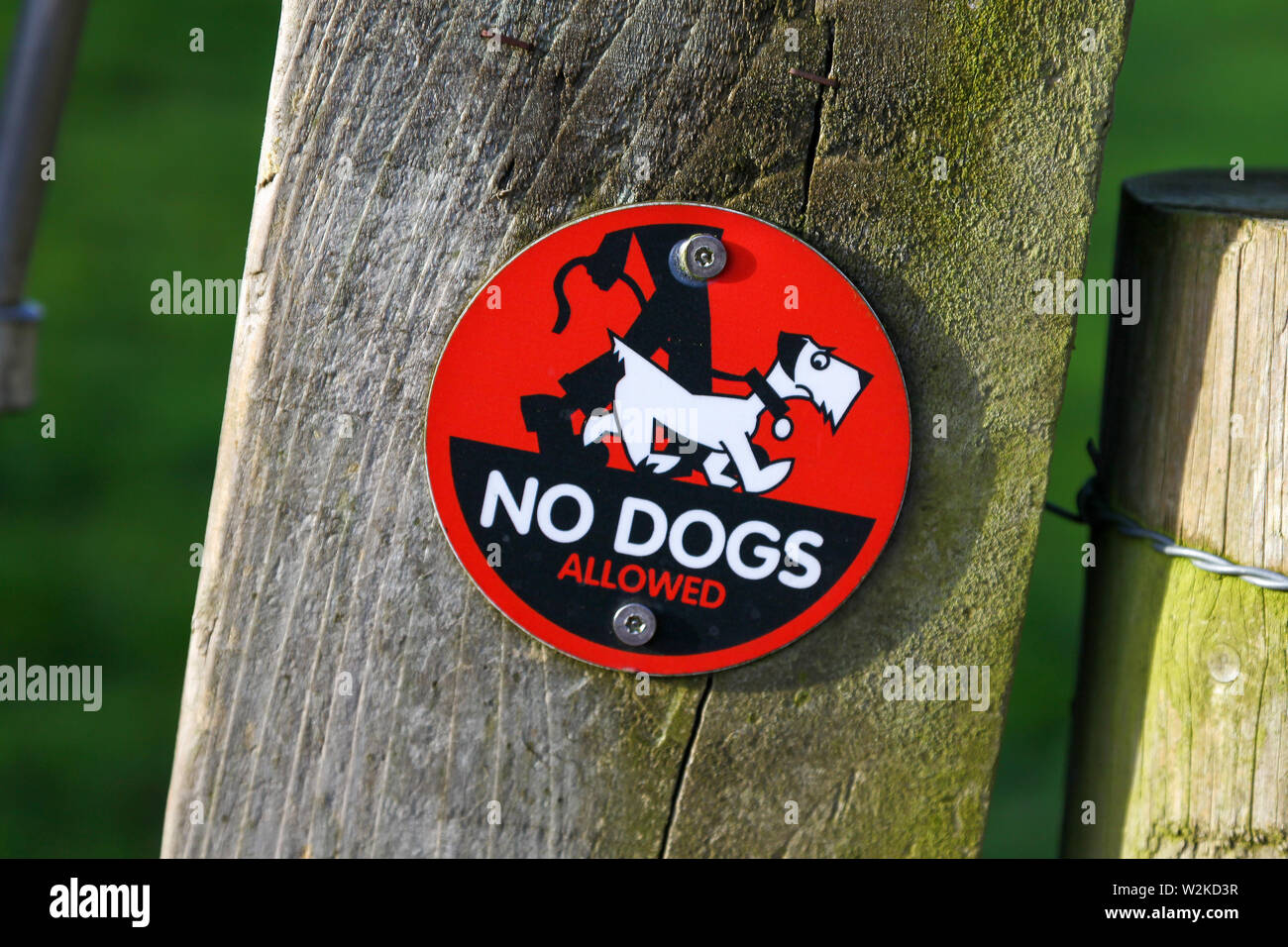 Un panneau rouge indiquant les chiens ne sont pas admis à l'Loynton Moss, Staffordshire, England, UK Banque D'Images